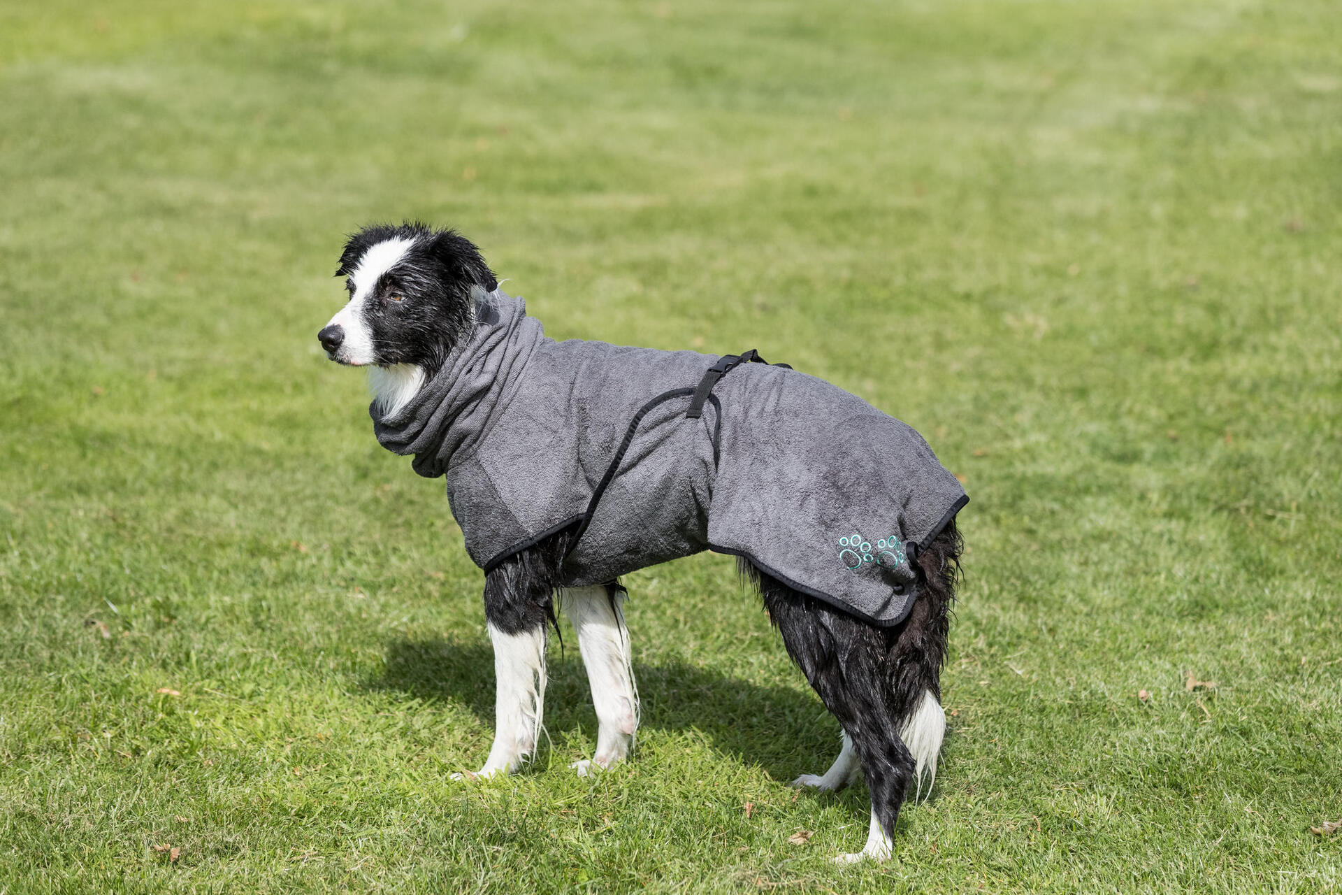 Bademantel bei leitermann.de günstig kaufen Bademantel