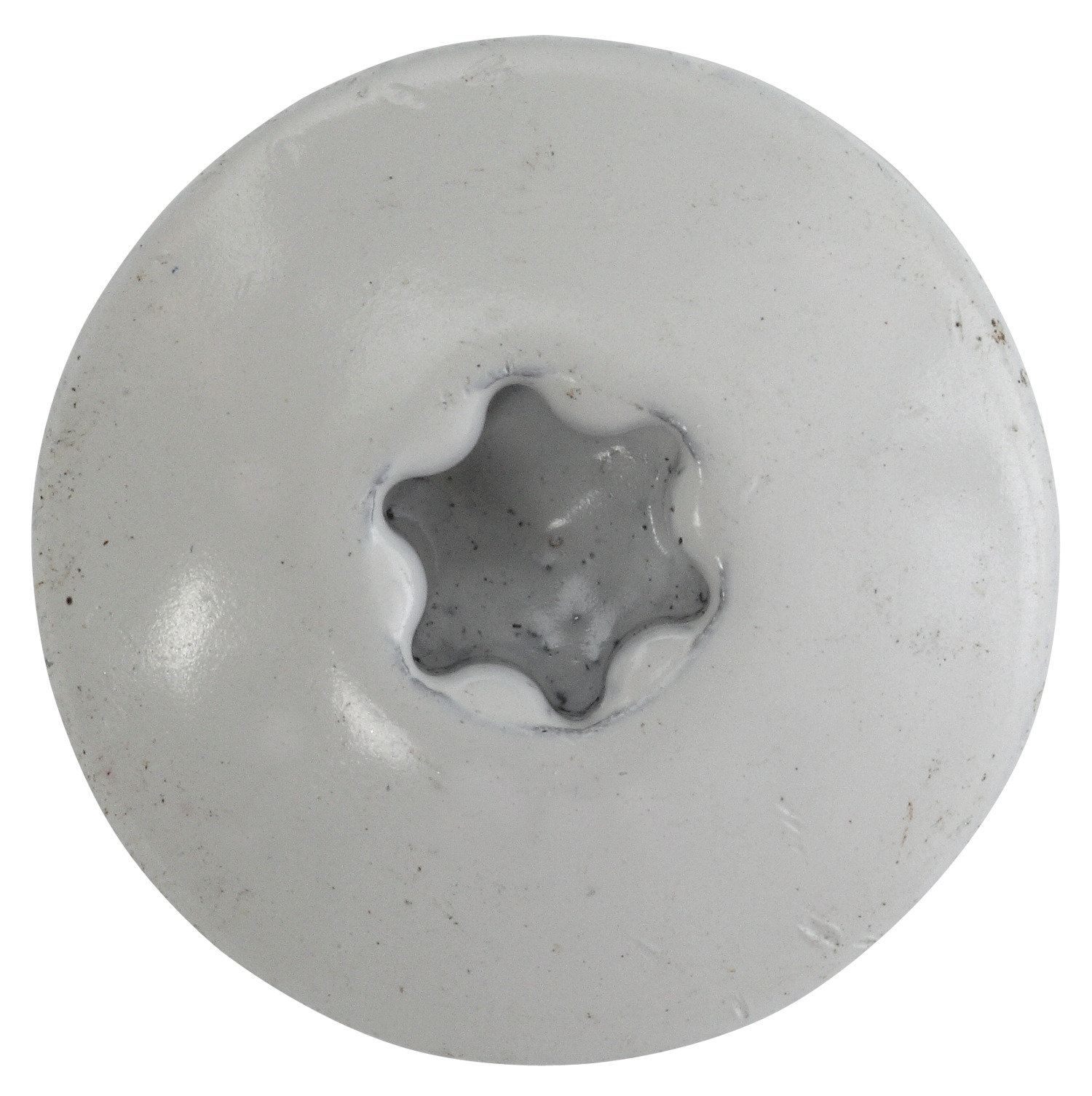 Fassadenschraube Edelstahl bei leitermann.de günstig kaufen Fassadenschraube Edelstahl