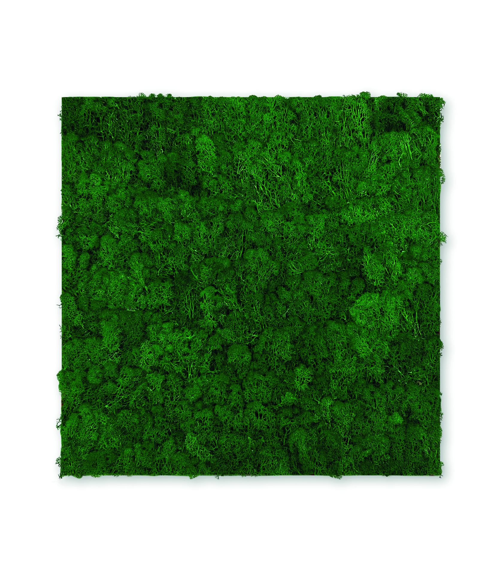 Wandpaneel Modular Wall Echtmoos