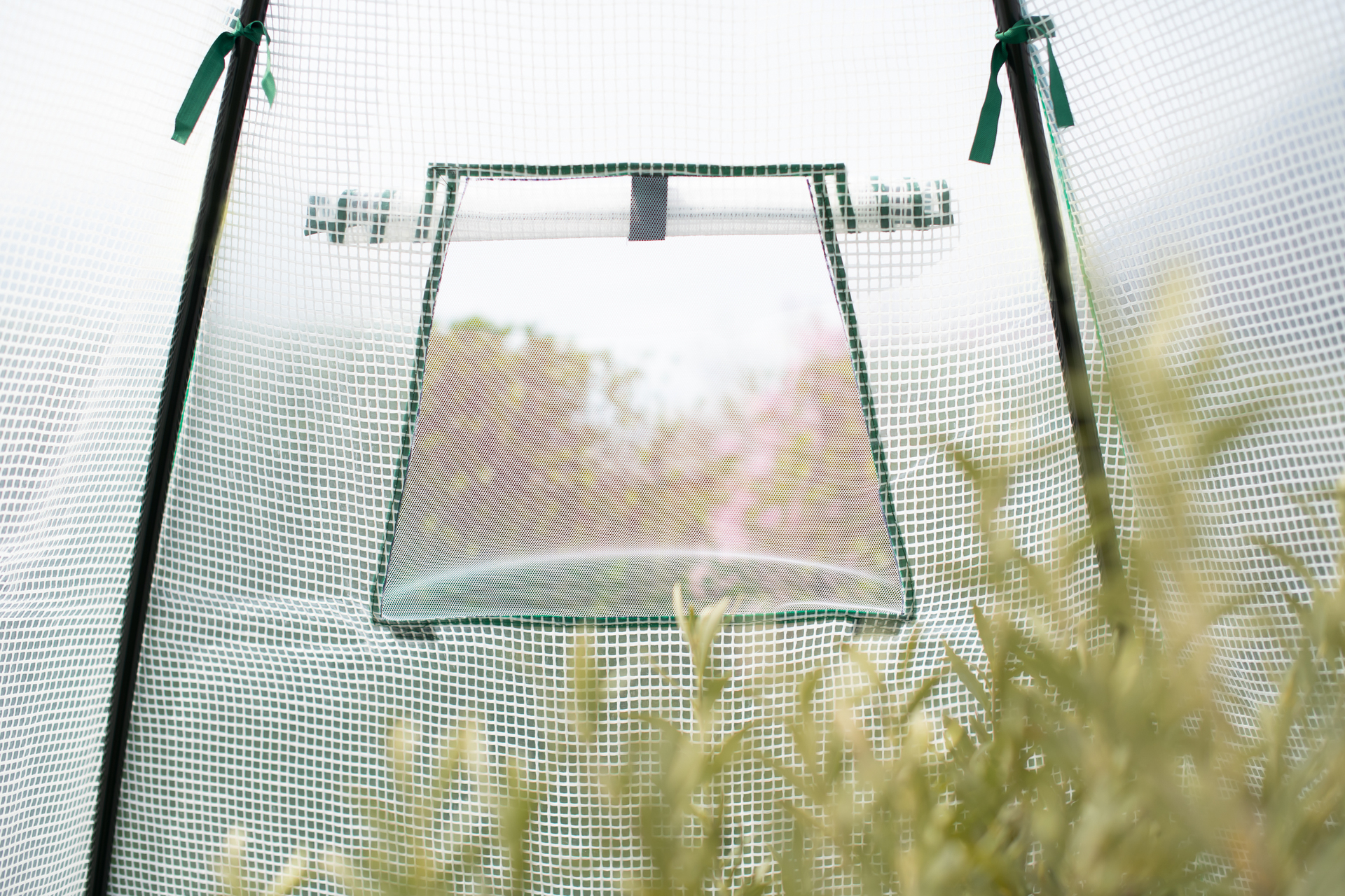 Foliengewächshaus Winterzelt Avocado