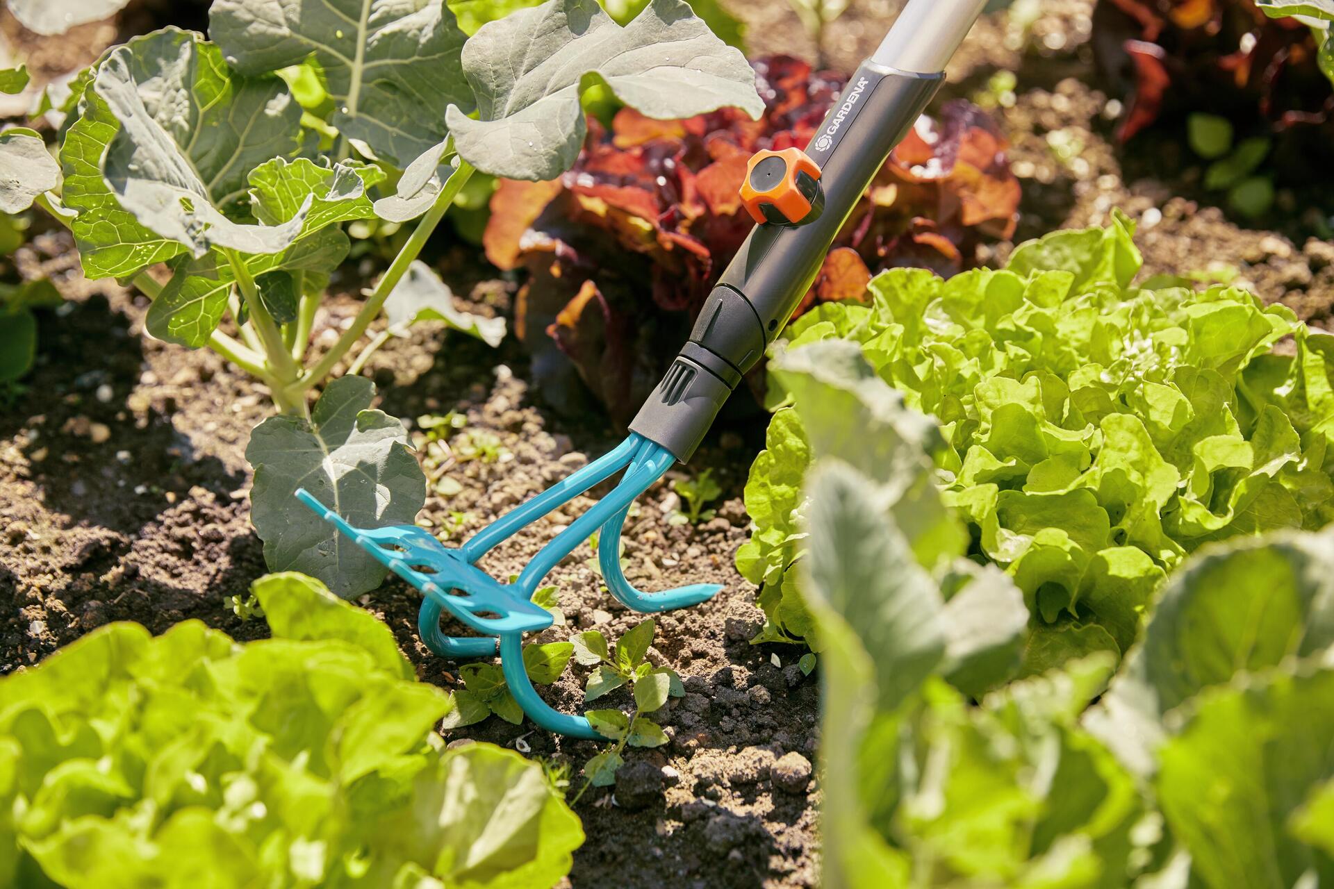 combisystem-2in1 Grubber-Rechen bei leitermann.de günstig kaufen combisystem-2in1 Grubber-Rechen