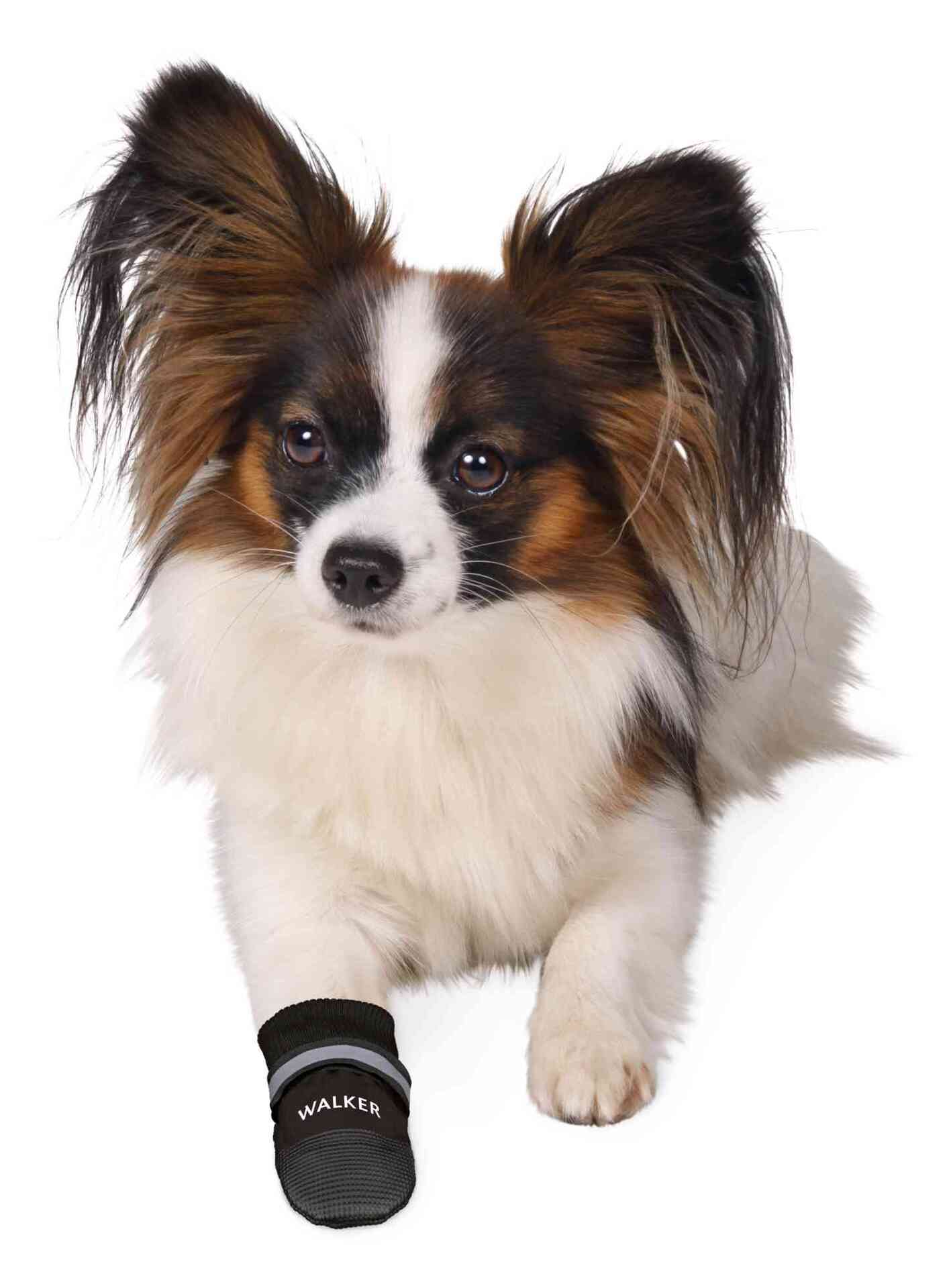 Pfotenschutz Walker Care Comfort