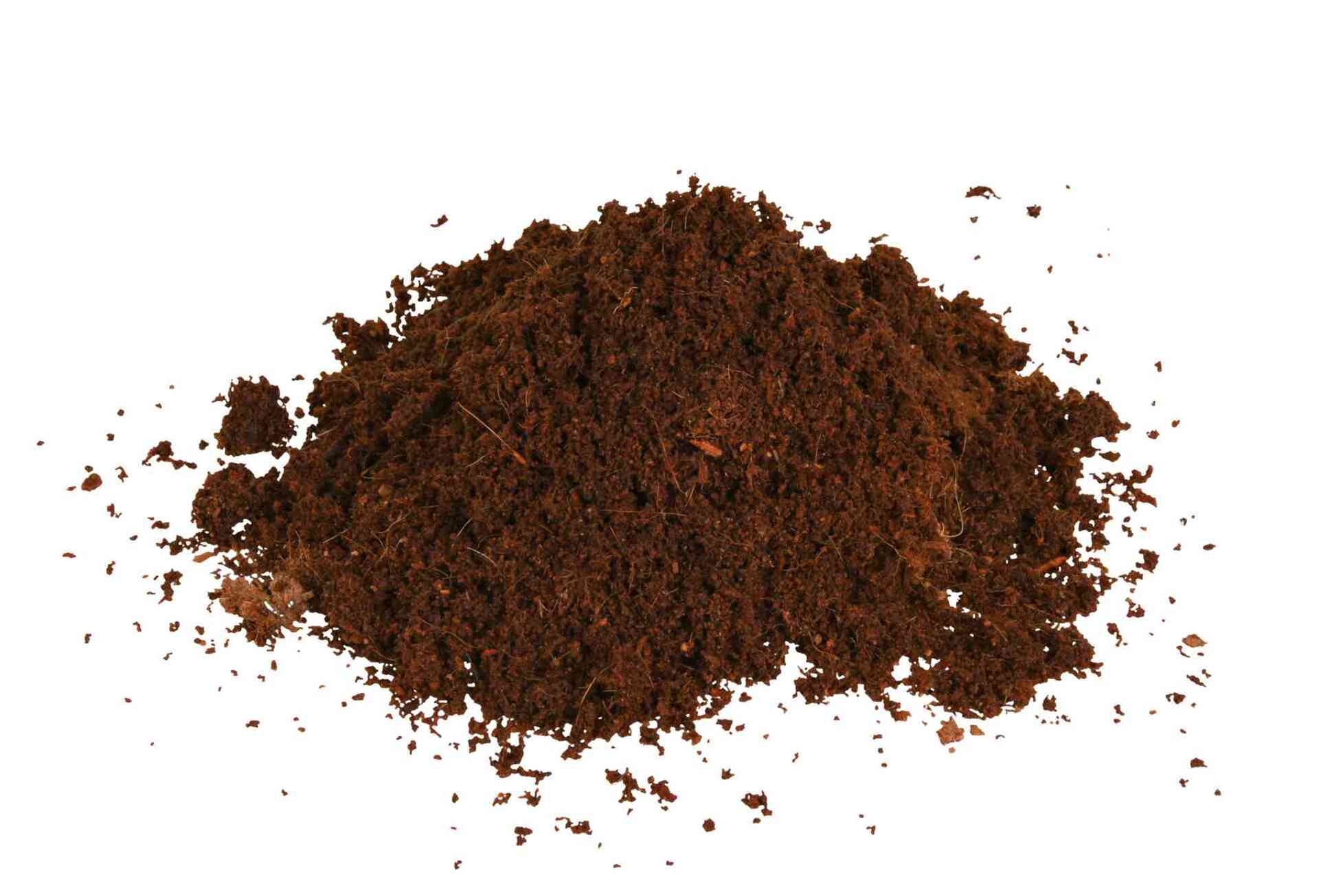 Kokosfaserhumus bei leitermann.de günstig kaufen Kokosfaserhumus