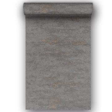Vliestapete Beton bei leitermann.de günstig kaufen Vliestapete Beton