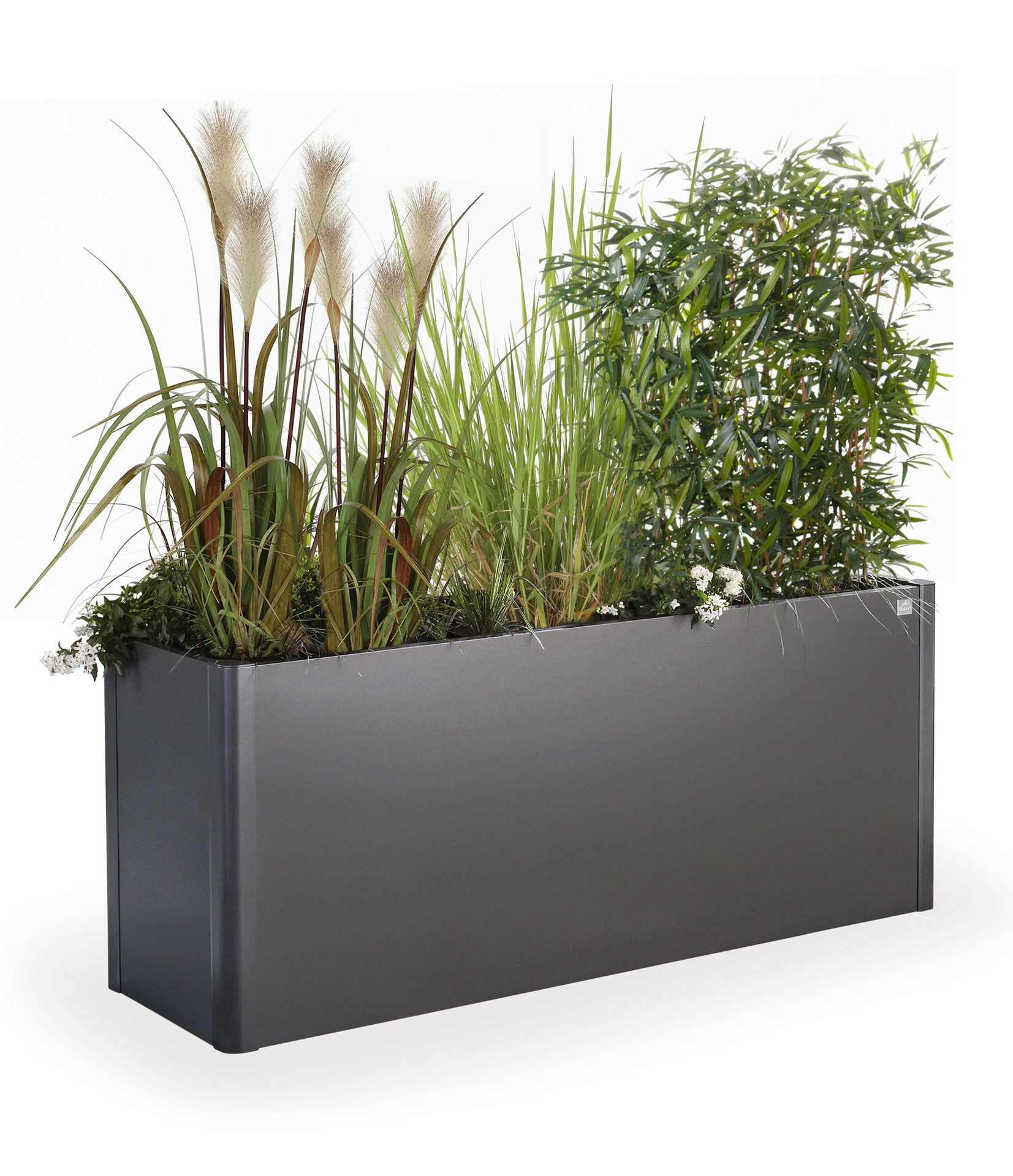 Pflanzbeet Belvedere Maxi