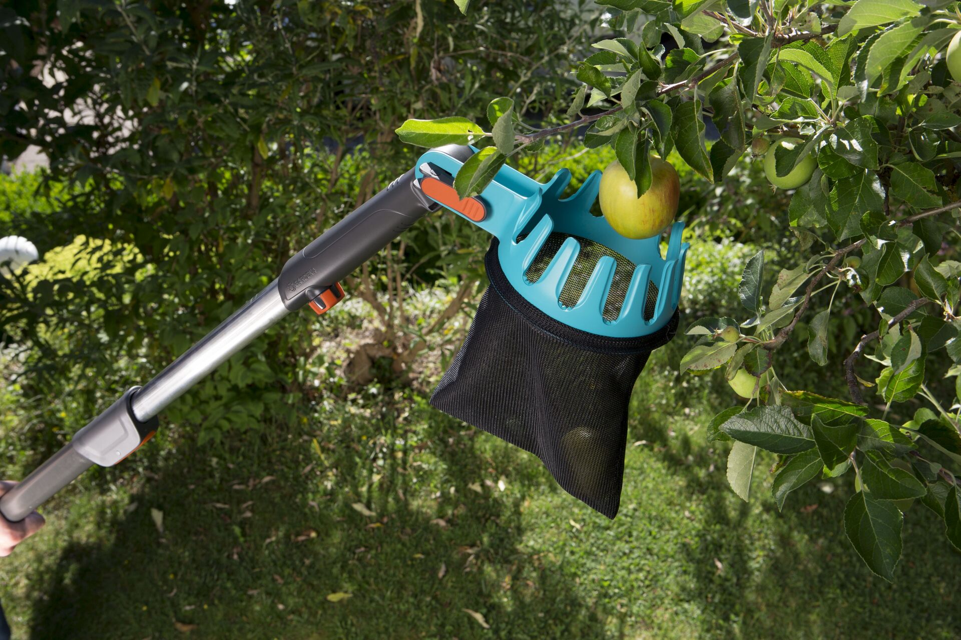 combisystem-Obstpflücker-Sortiment bei leitermann.de günstig kaufen combisystem-Obstpflücker-Sortiment