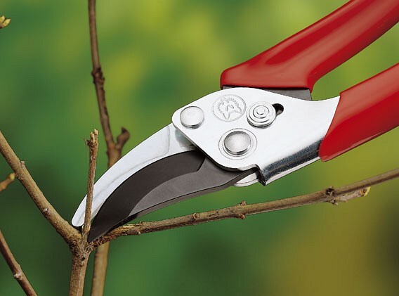 Gartenschere Aktion RR-EN