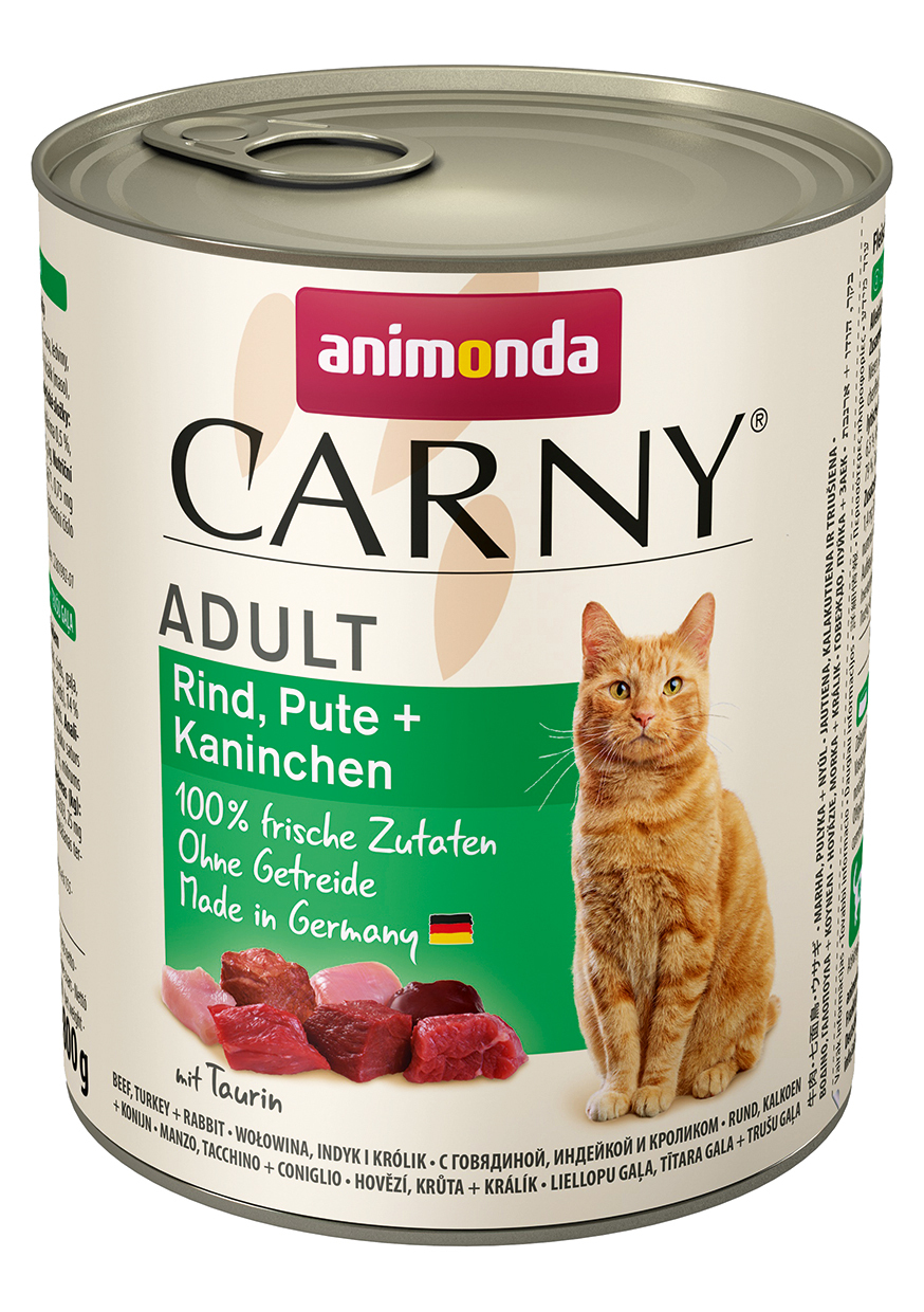 Cat Carny Adult