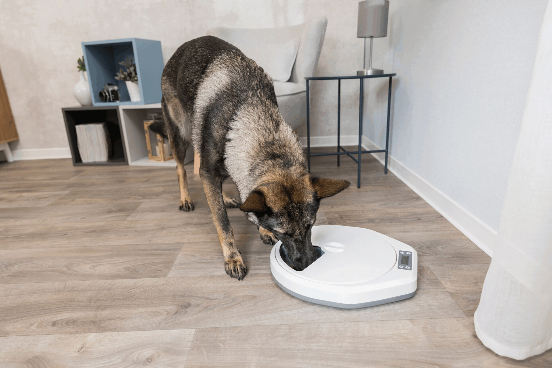 Futterautomat TX4+1 bei leitermann.de günstig kaufen Futterautomat TX4+1