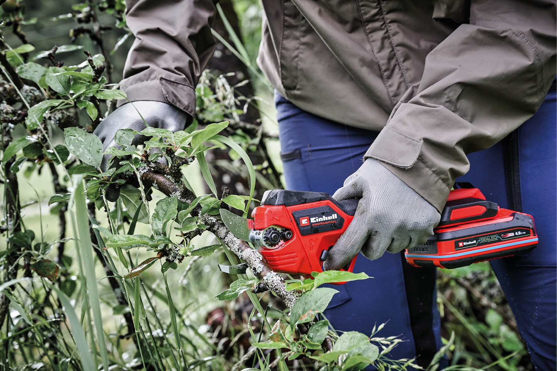 Akku-Astschere GP-LS 18/28 Li T BL-Solo bei leitermann.de günstig kaufen Akku-Astschere GP-LS 18/28 Li T BL-Solo