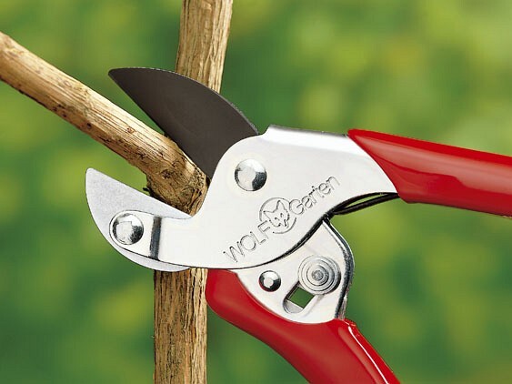 Gartenschere-Aktion RS-EN