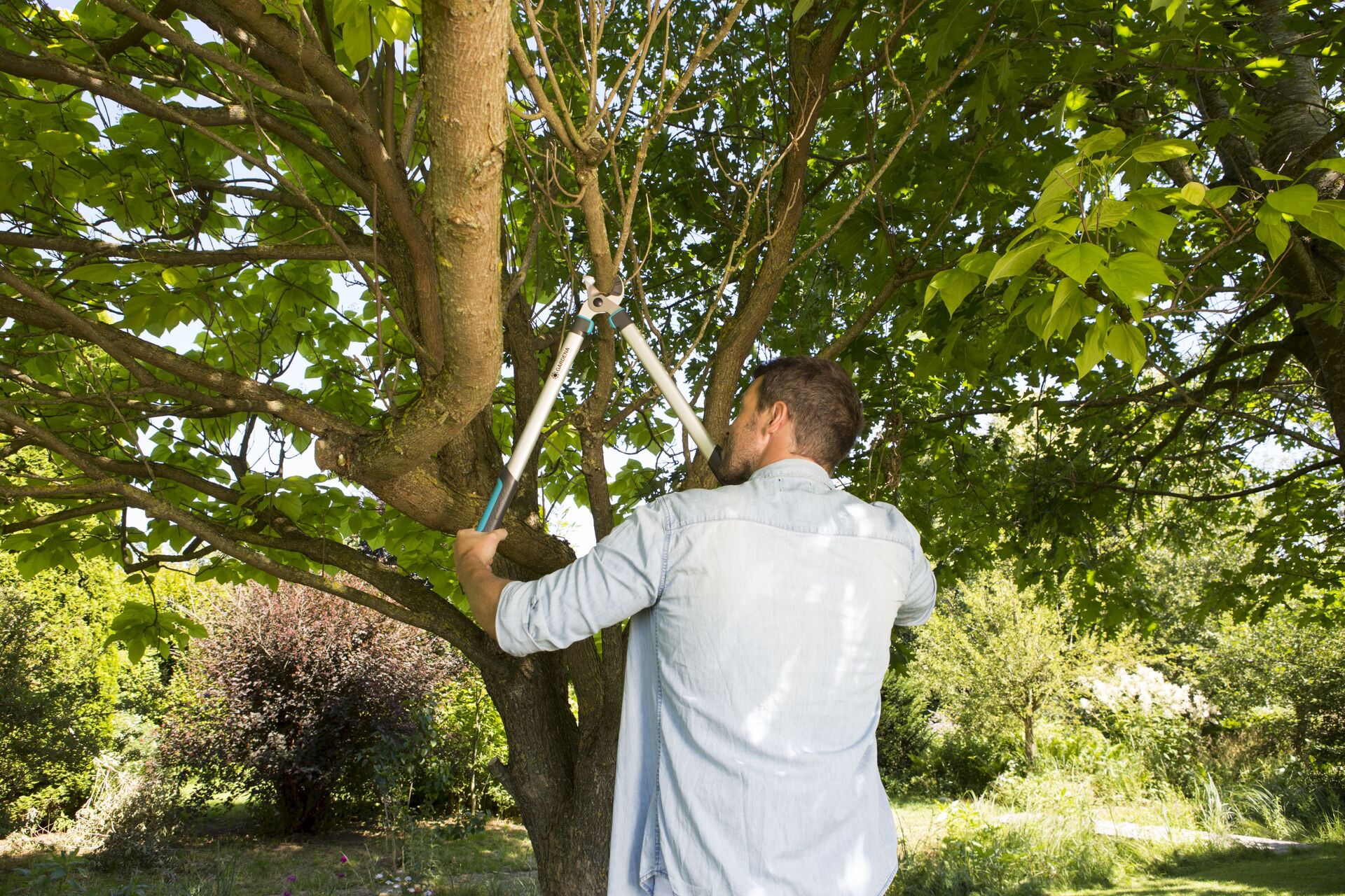 Astschere EasyCut 680 A