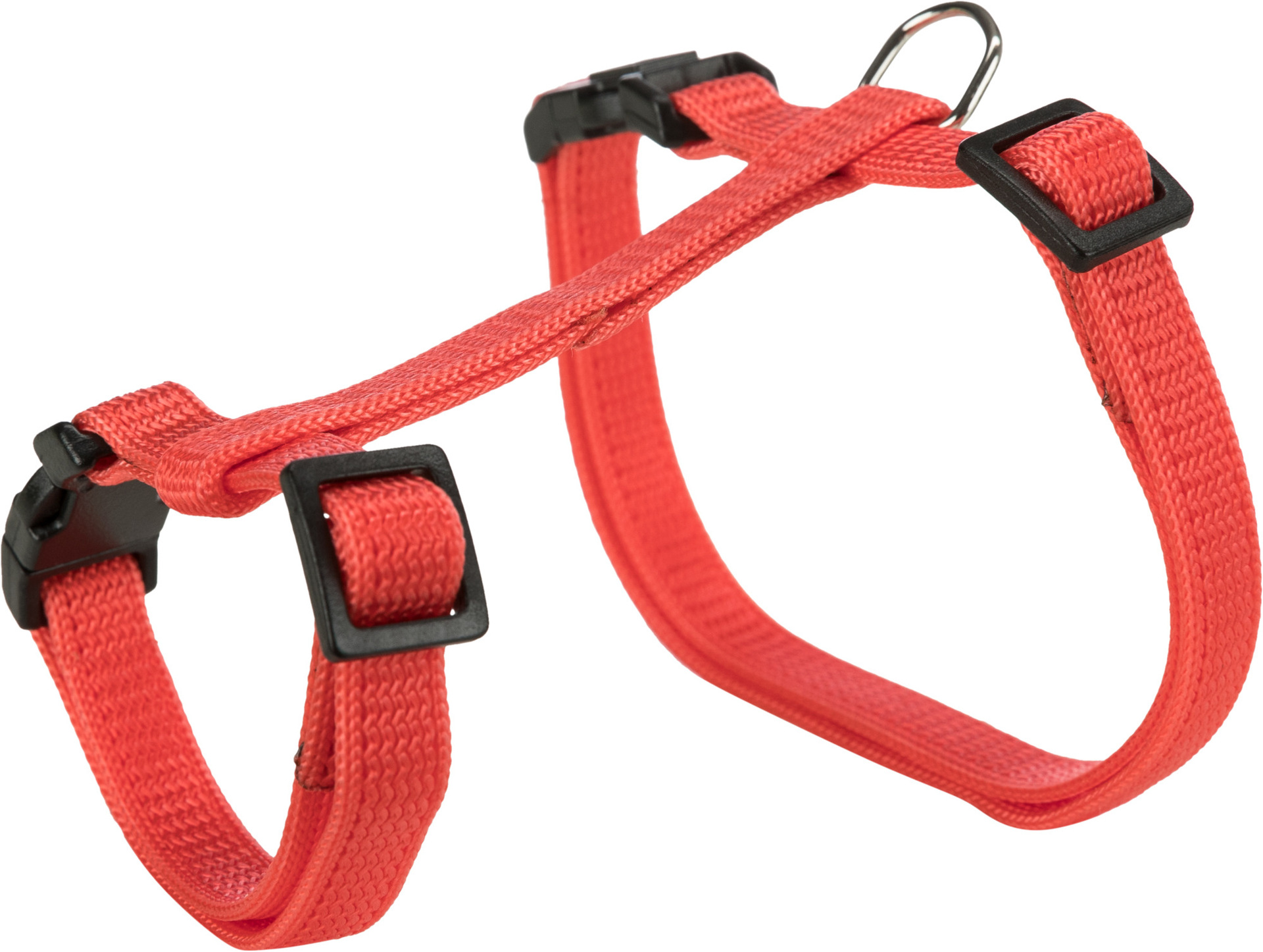 Geschirr mit Leine, Kaninchen