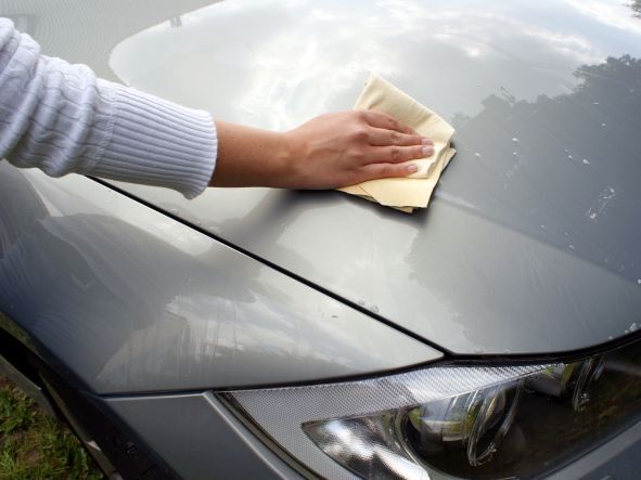 Fensterleder Echtleder