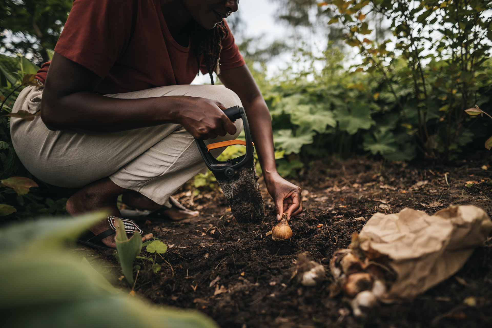 Solid Blumenzwiebel-Pflanzer