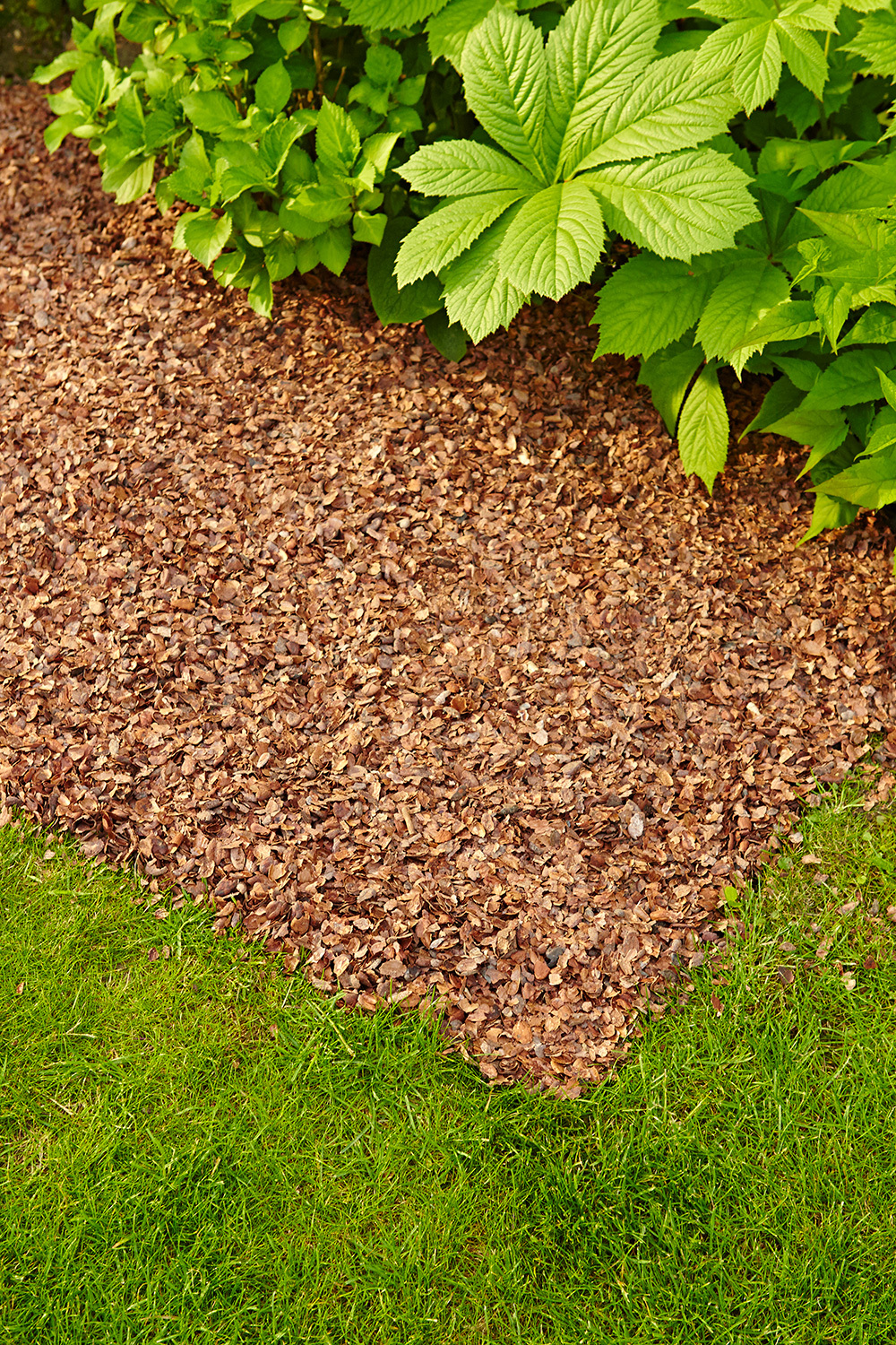 Universal Kakaoschalen