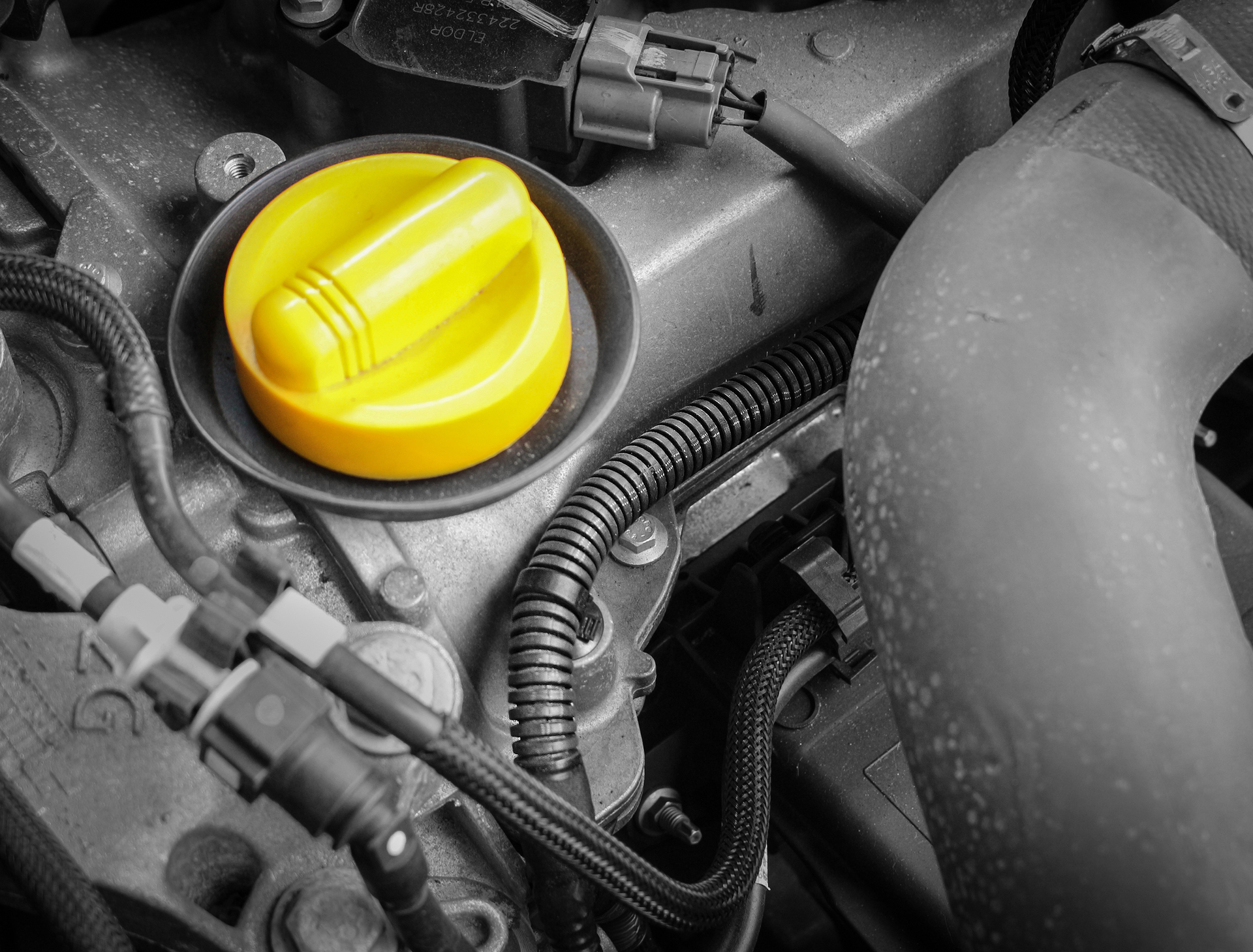 Marderabwehr-Schutzschlauch bei leitermann.de günstig kaufen Marderabwehr-Schutzschlauch