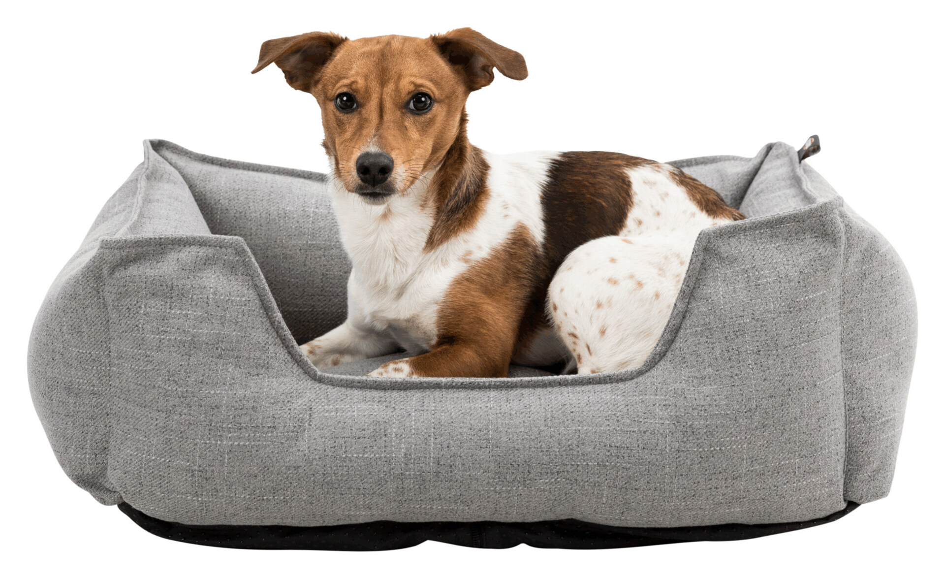 Bett Talis bei leitermann.de günstig kaufen Bett Talis