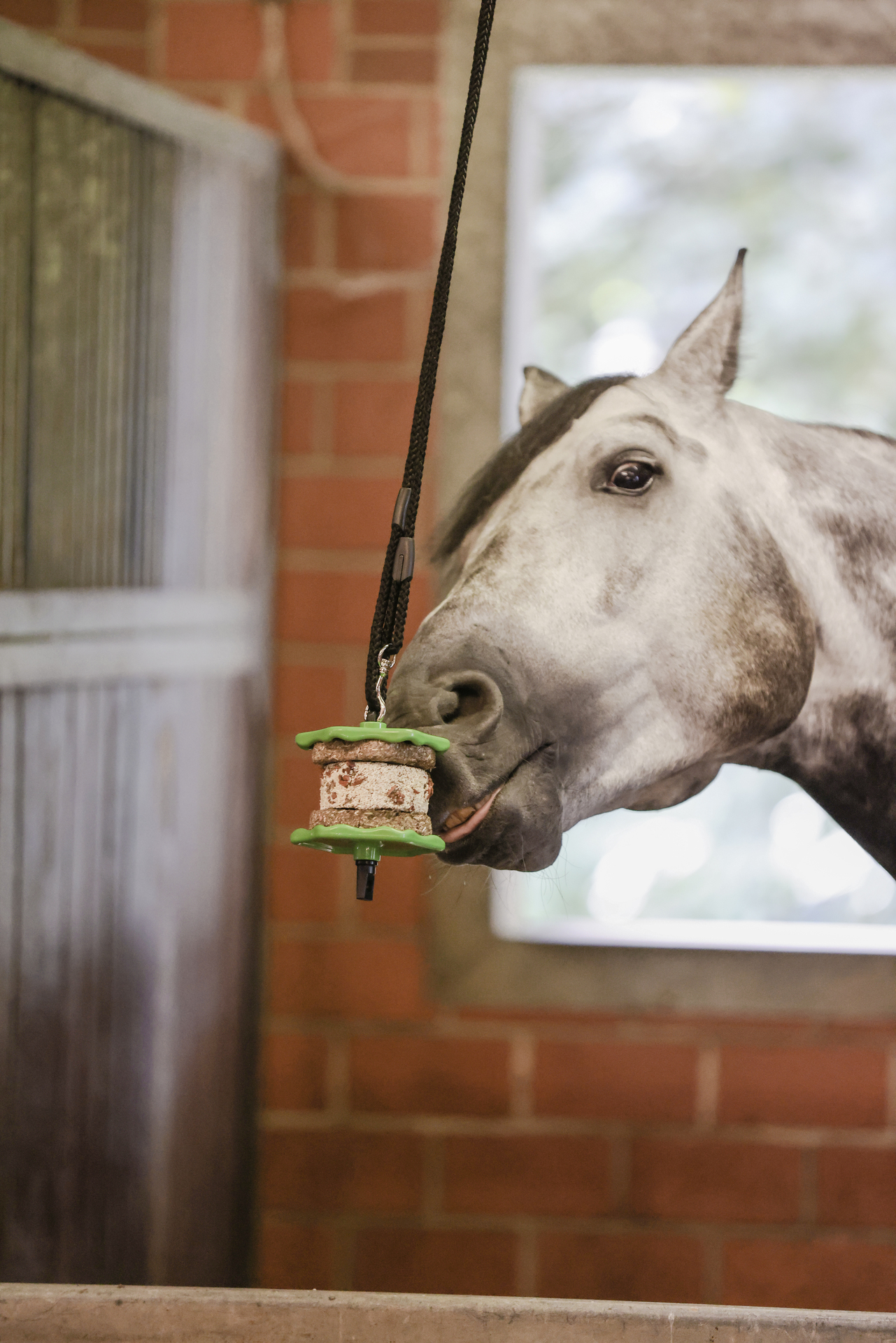 Delizia Sandwich 195g