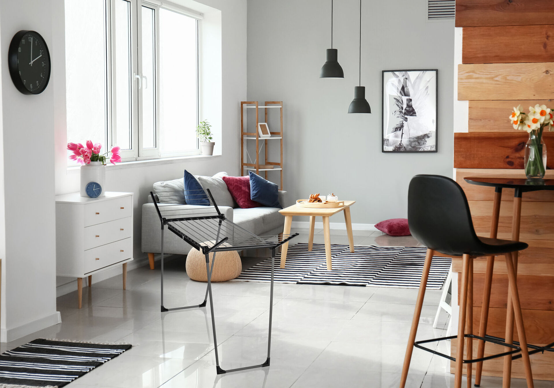 Standtrockner Pegasus 150 Solid Black