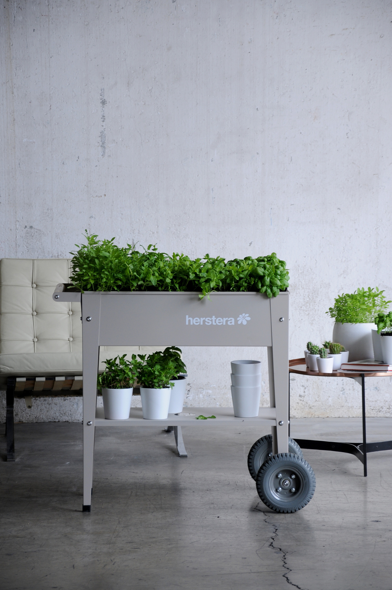 Kräuterfabrik Barcelona Liso