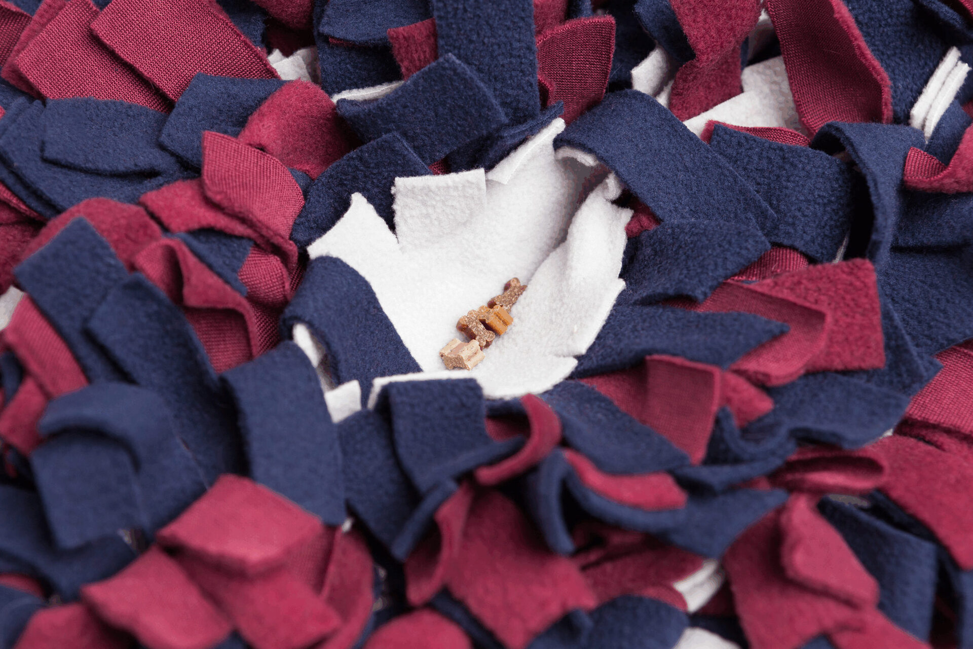 Strategie-Spiel Schnüffelteppich bei leitermann.de günstig kaufen Strategie-Spiel Schnüffelteppich