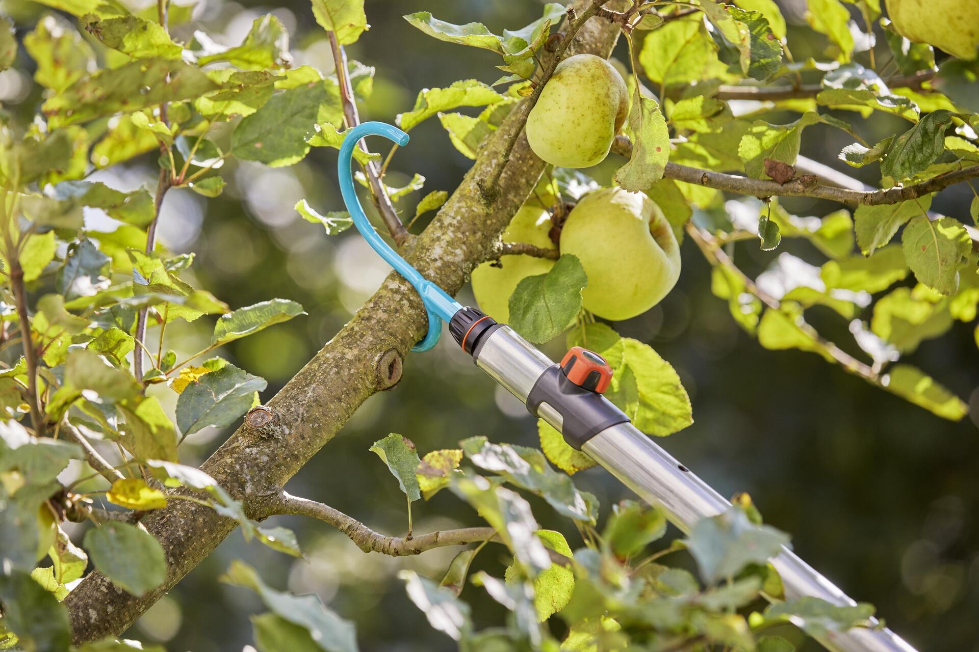 combisystem-Asthaken bei leitermann.de günstig kaufen combisystem-Asthaken