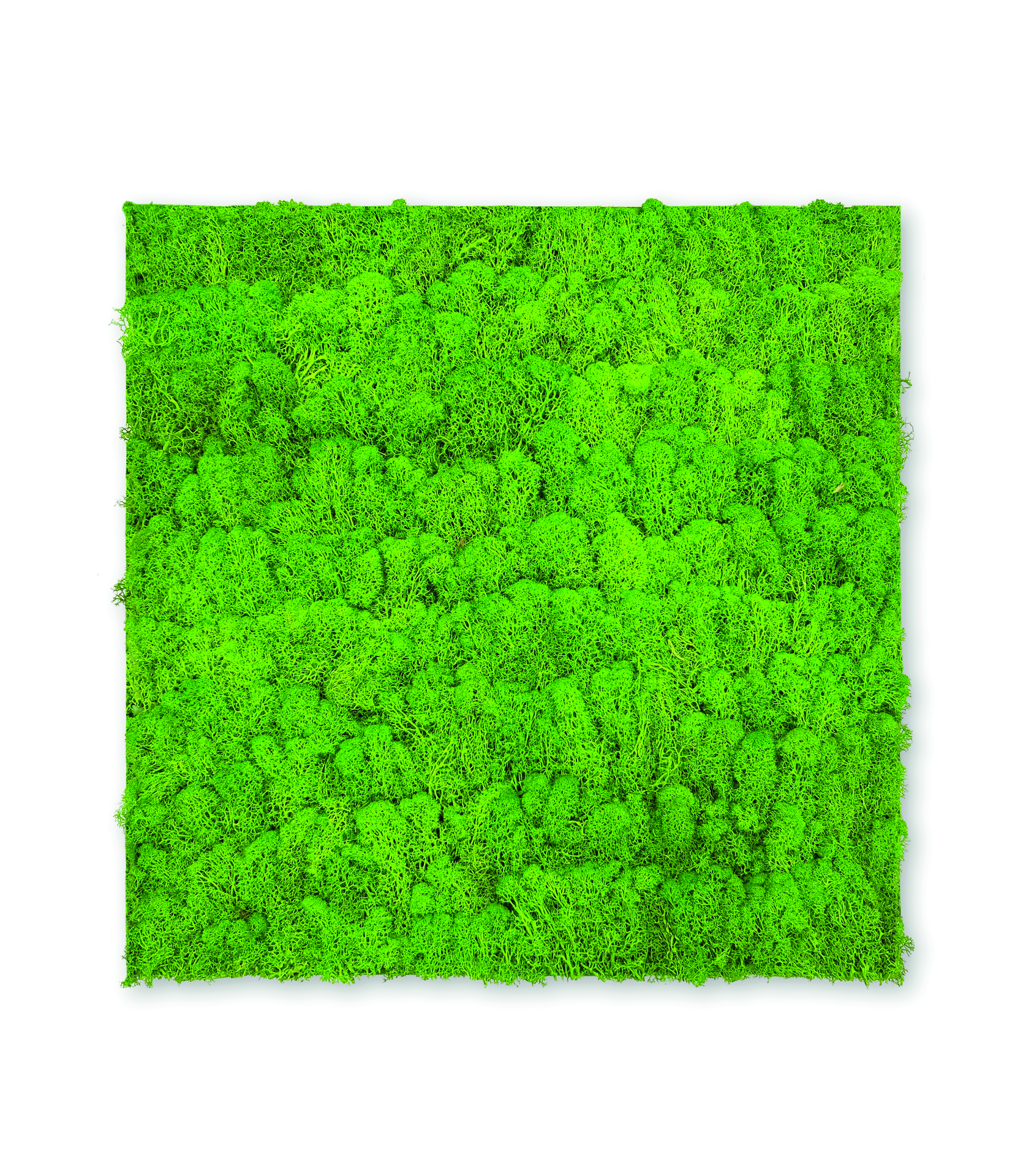 Wandpaneel Modular Wall Echtmoos