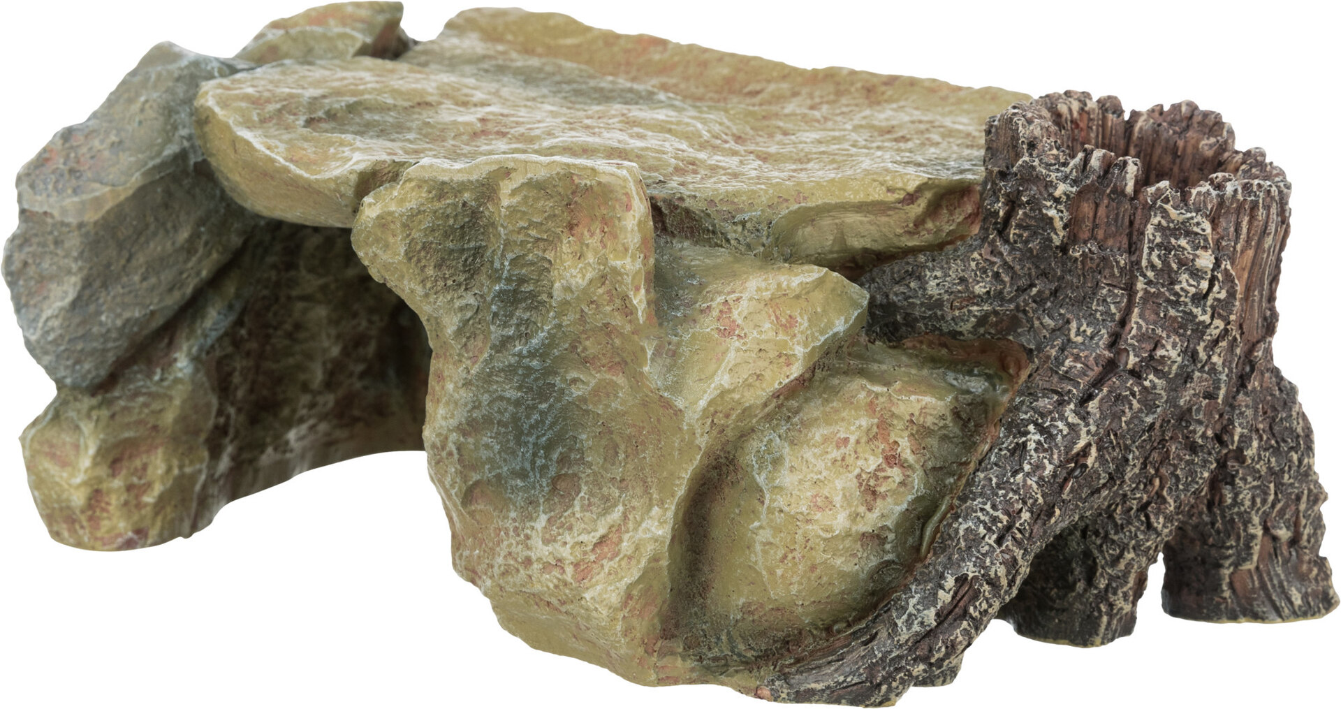 Felsplateau mit Baumstamm