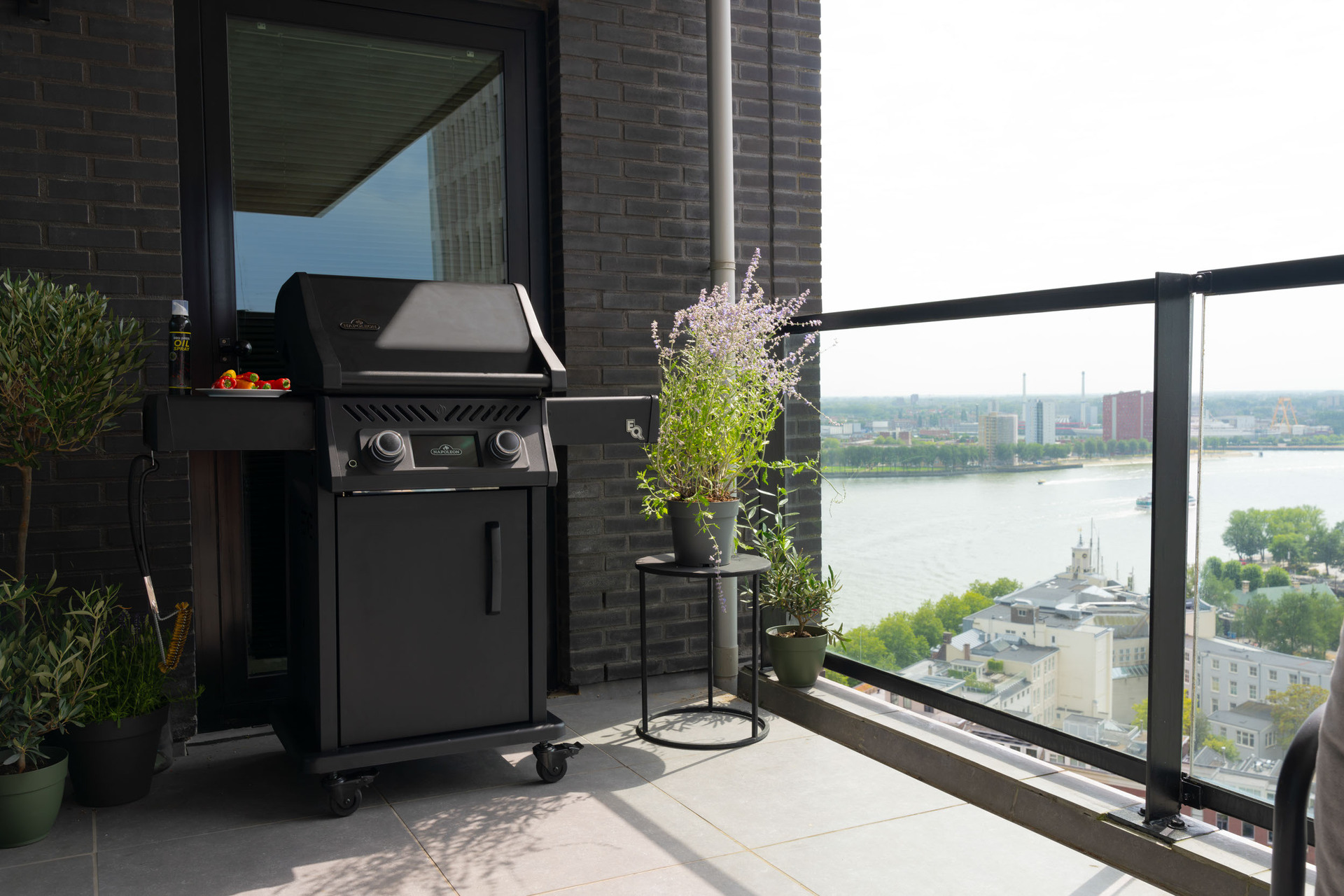 Rogue EQ 365 Elektro