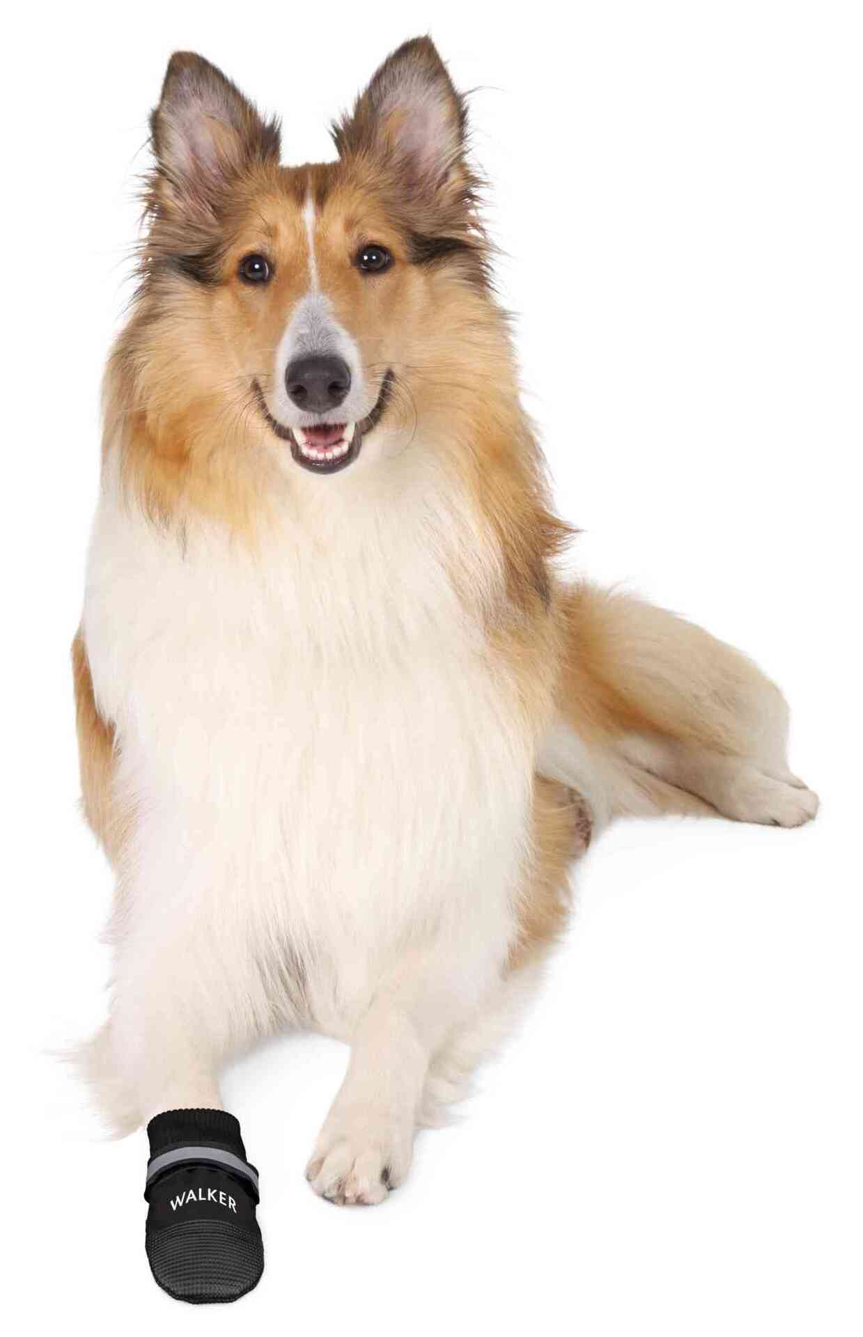 Pfotenschutz Walker Care Comfort bei leitermann.de günstig kaufen Pfotenschutz Walker Care Comfort