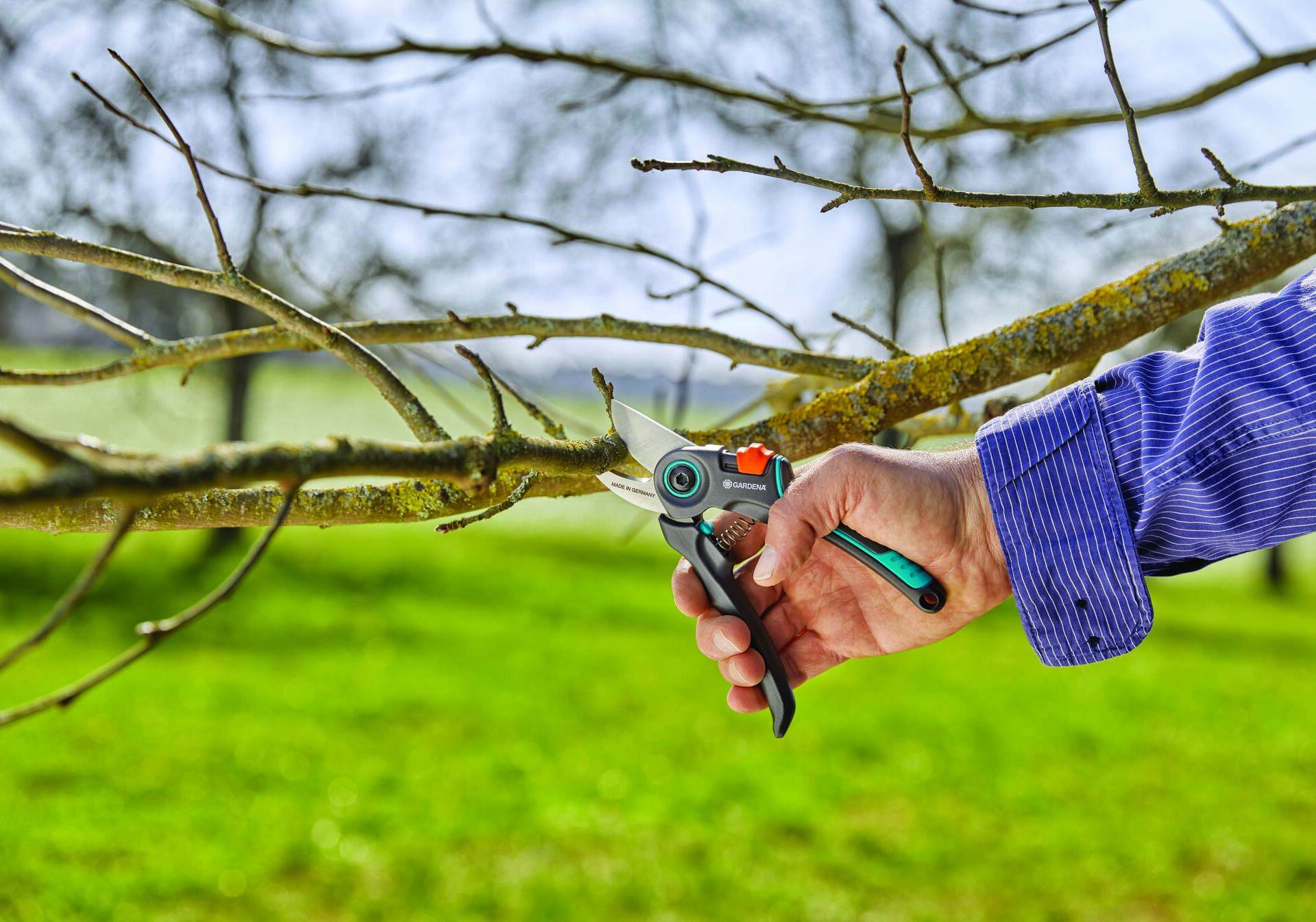 Gartenschere ExpertCut bei leitermann.de günstig kaufen Gartenschere ExpertCut