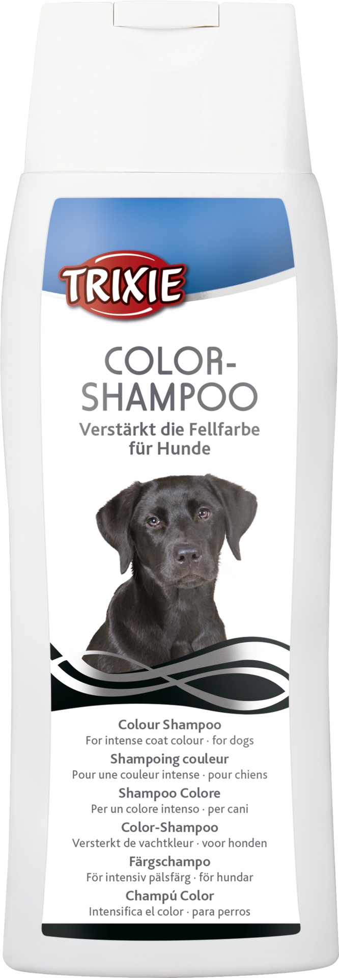 Color-Shampoo