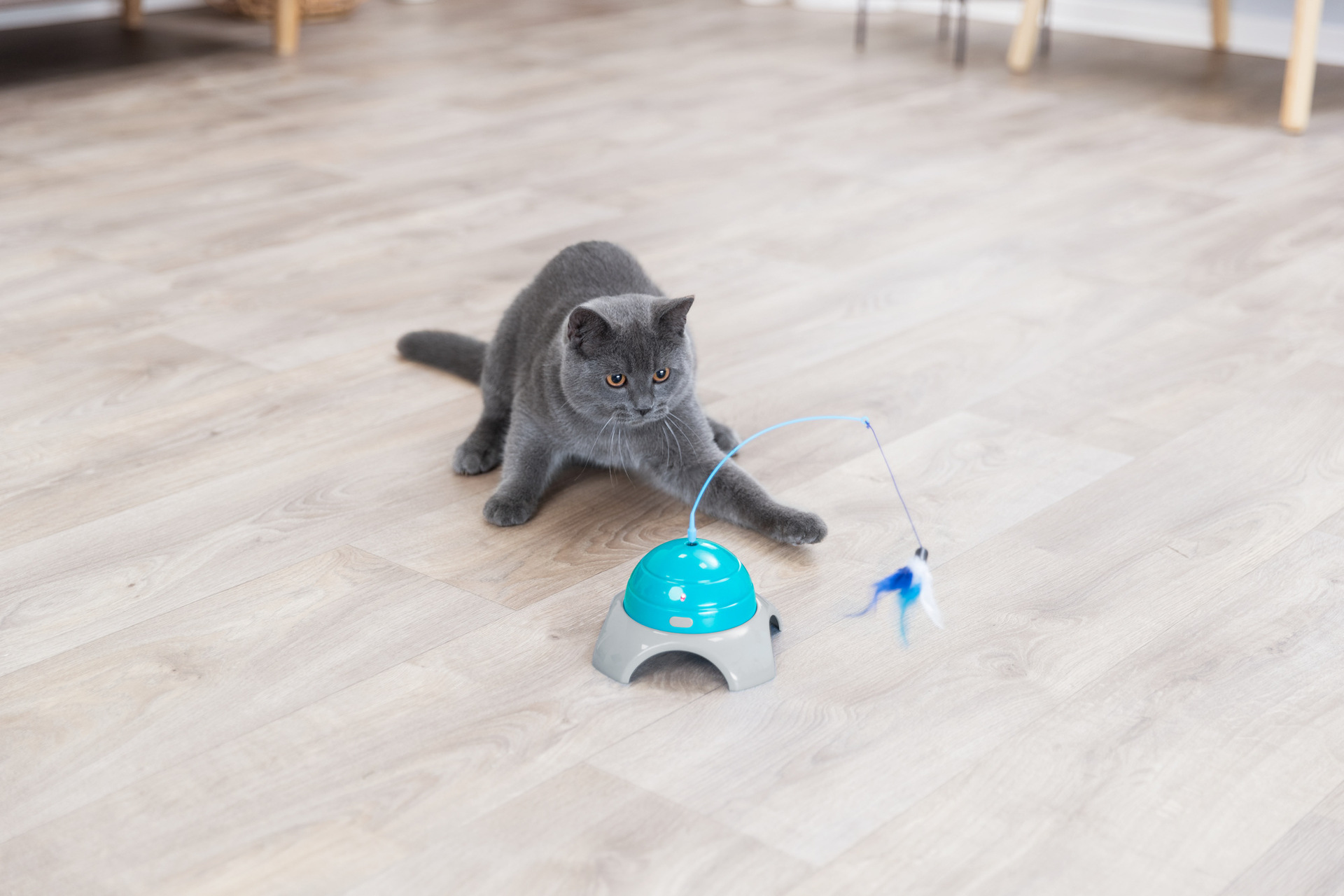 Catch Me mit Fernbedienung bei leitermann.de günstig kaufen Catch Me mit Fernbedienung