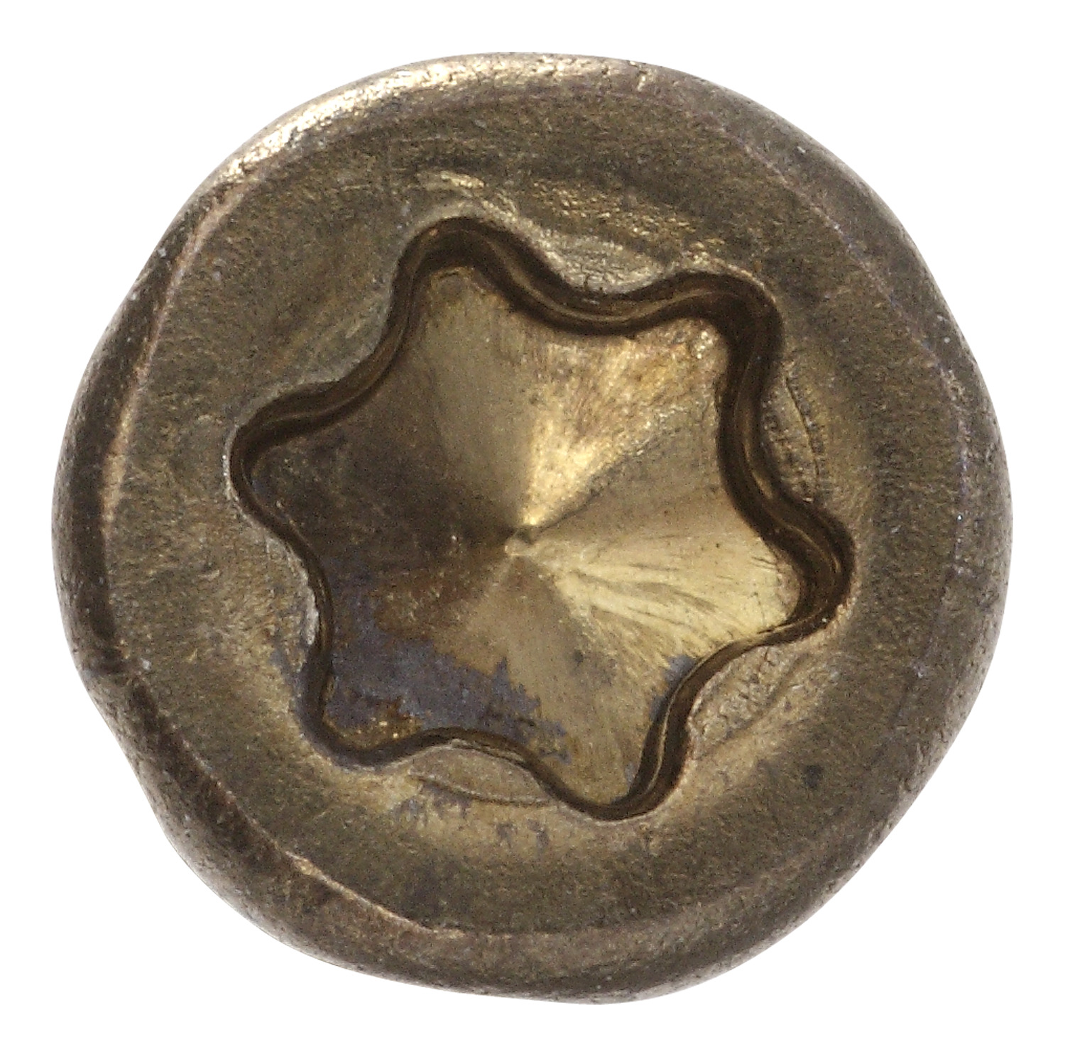 Thermoholzschraube mit Bit bei leitermann.de günstig kaufen Thermoholzschraube mit Bit