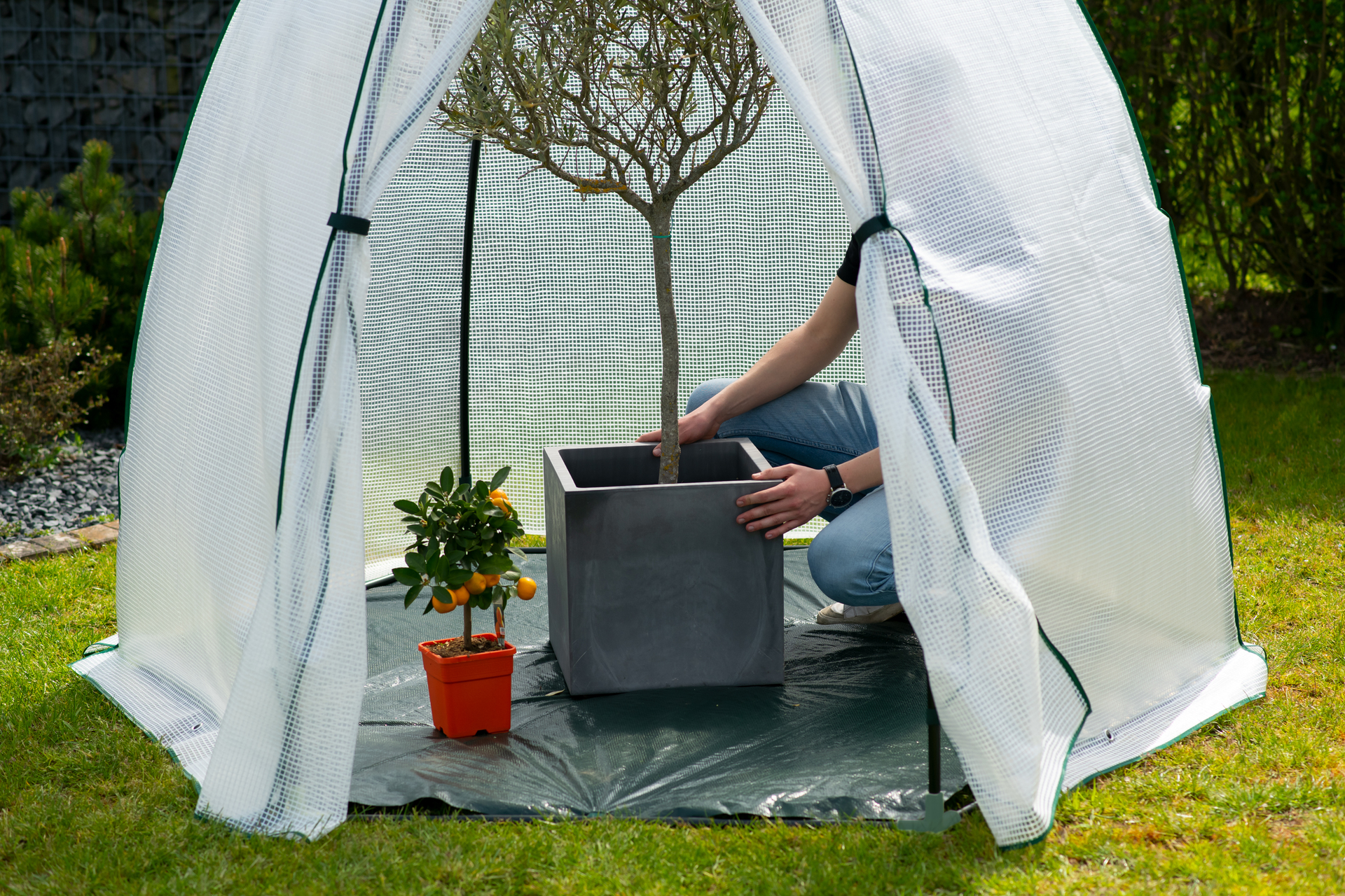 Foliengewächshaus Winterzelt Minze bei leitermann.de günstig kaufen Foliengewächshaus Winterzelt Minze