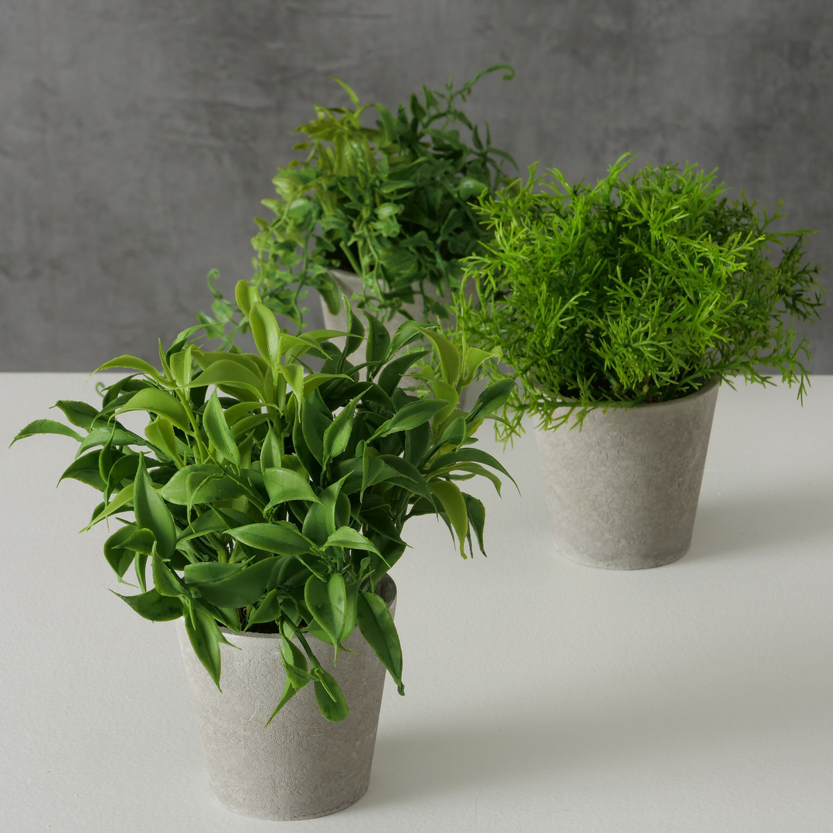 Topfpflanze 3-fach sortiert