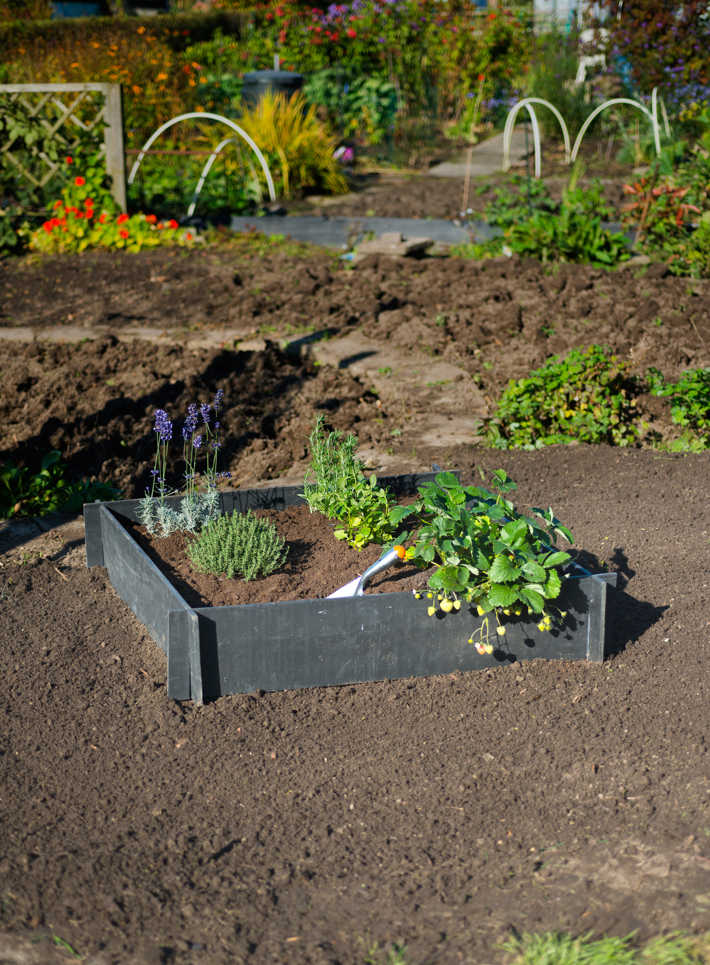 Nature Pflanzbeet H19x100x100cm bei leitermann.de günstig kaufen Nature Pflanzbeet H19x100x100cm