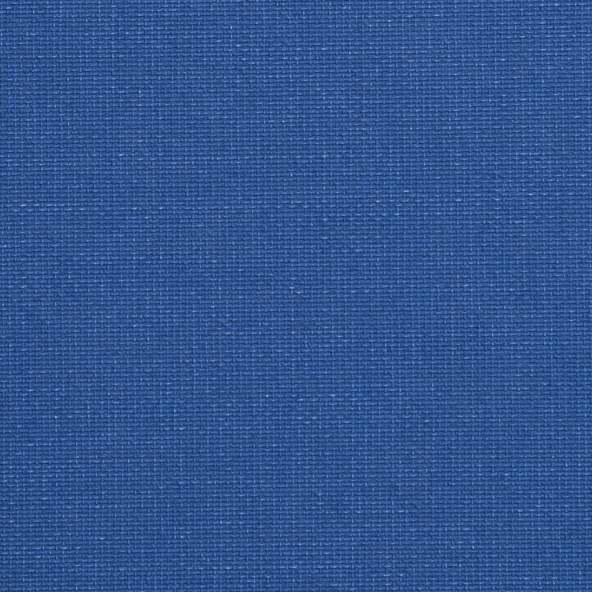 Seitenzug-Rollo Uni Tageslicht