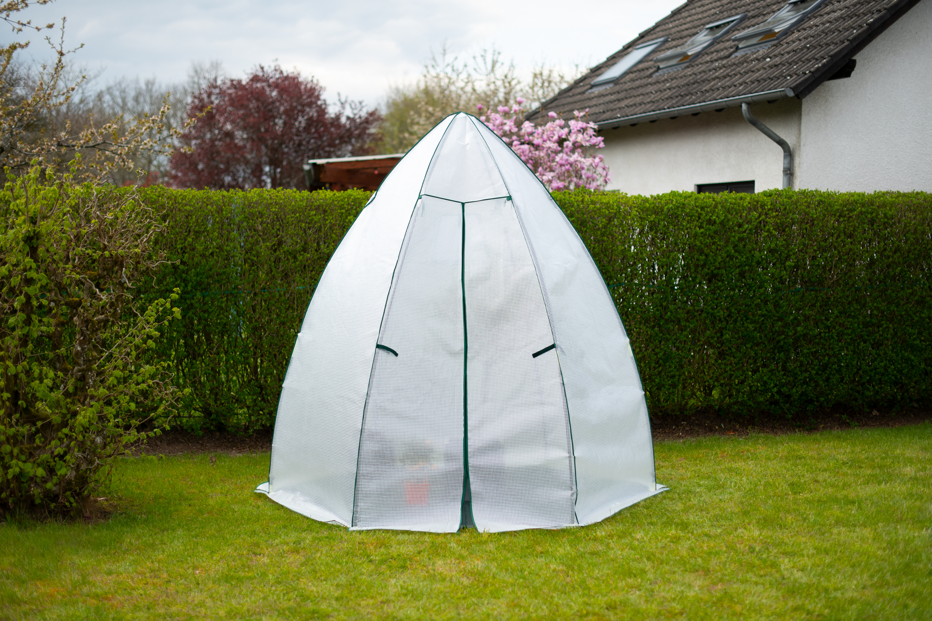 Foliengewächshaus Winterzelt Avocado