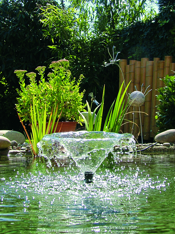 Pontec Pondovario bei leitermann.de günstig kaufen Pontec Pondovario