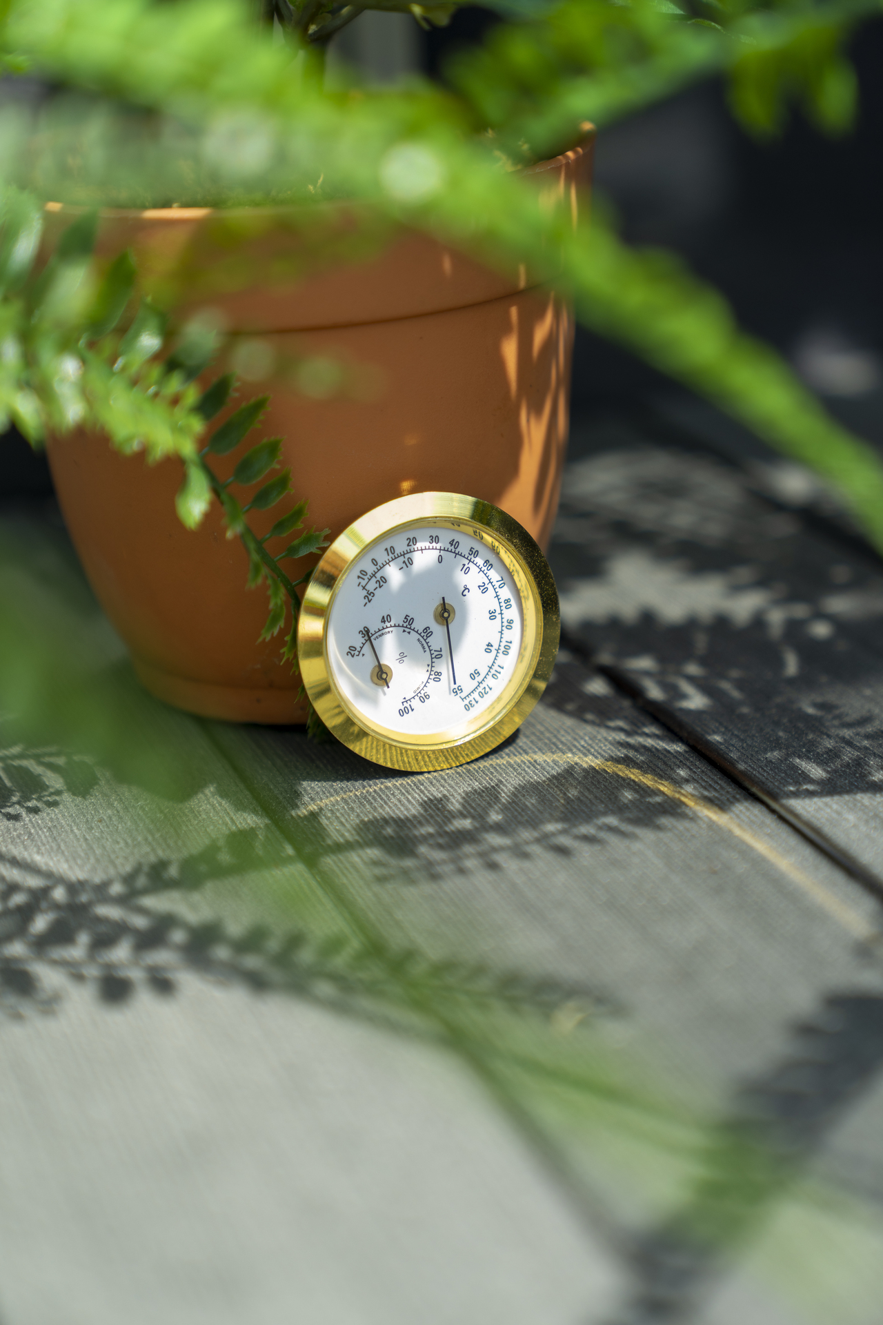 Hygrometer bei leitermann.de günstig kaufen Hygrometer