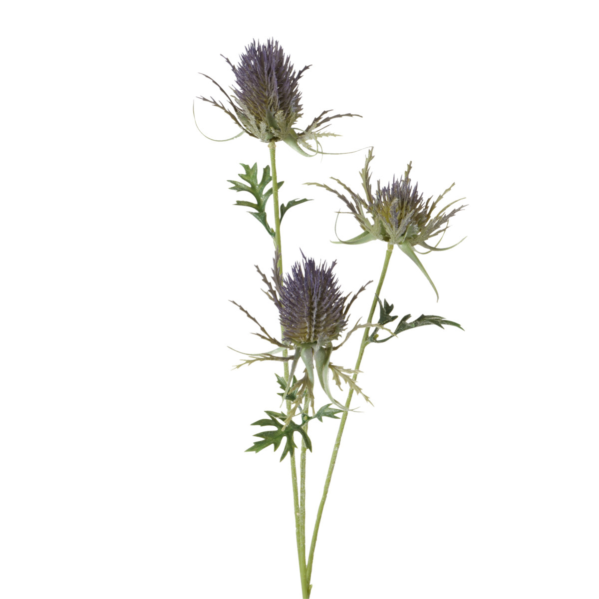 Dekozweig bei leitermann.de günstig kaufen Dekozweig