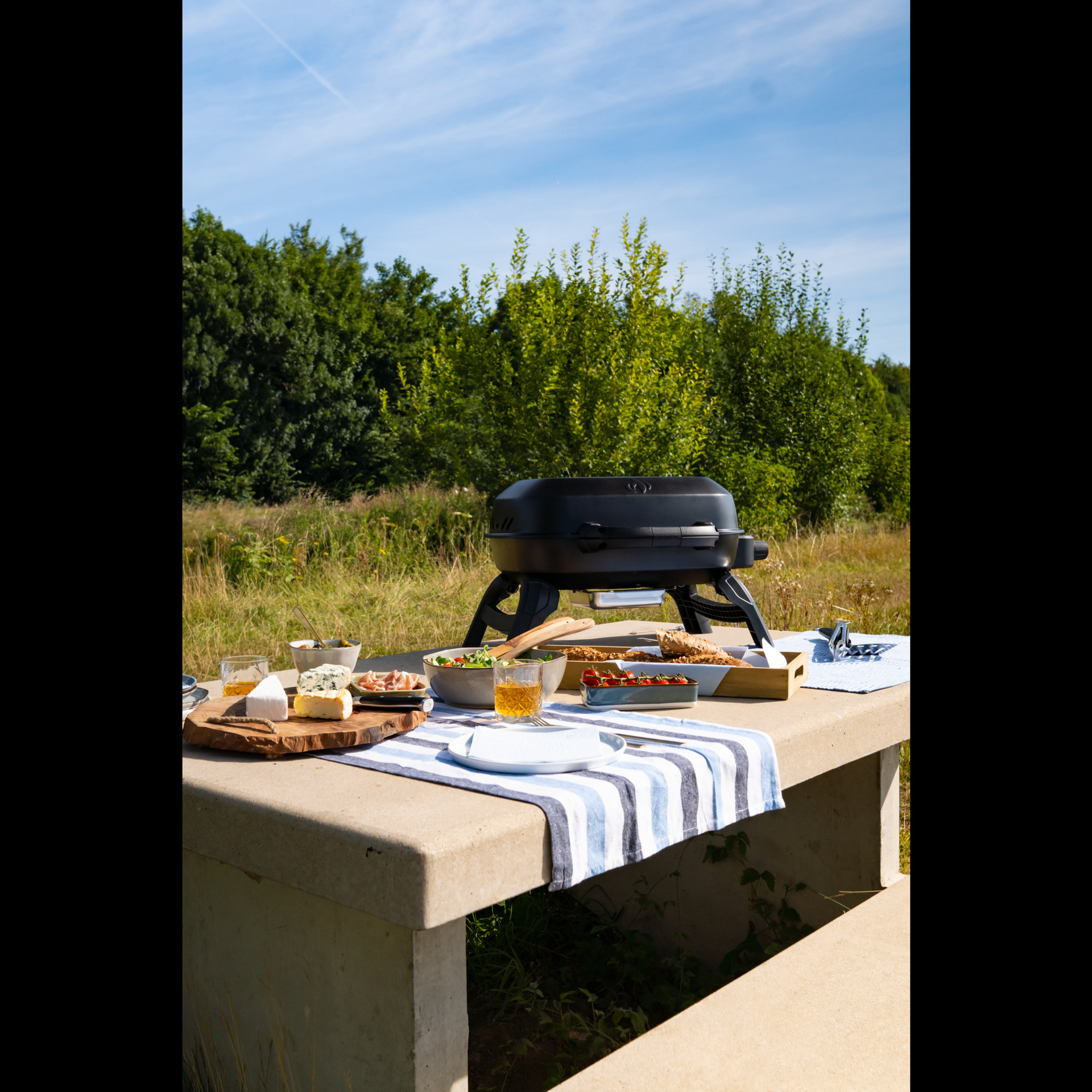 Gasgrill TravelQ™ 240, Schwarz