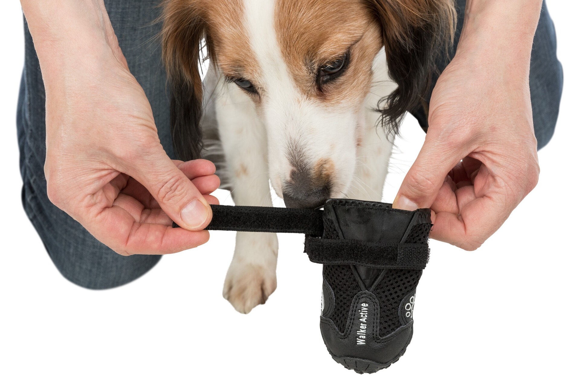 Pfotenschutz Walker Active