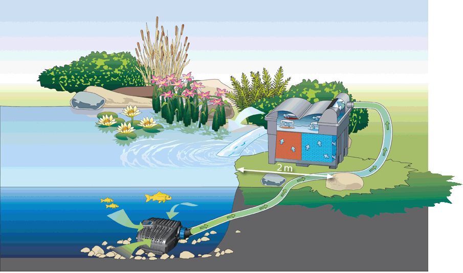 Filter- und Bachlaufpumpe AquaMax Eco Classic