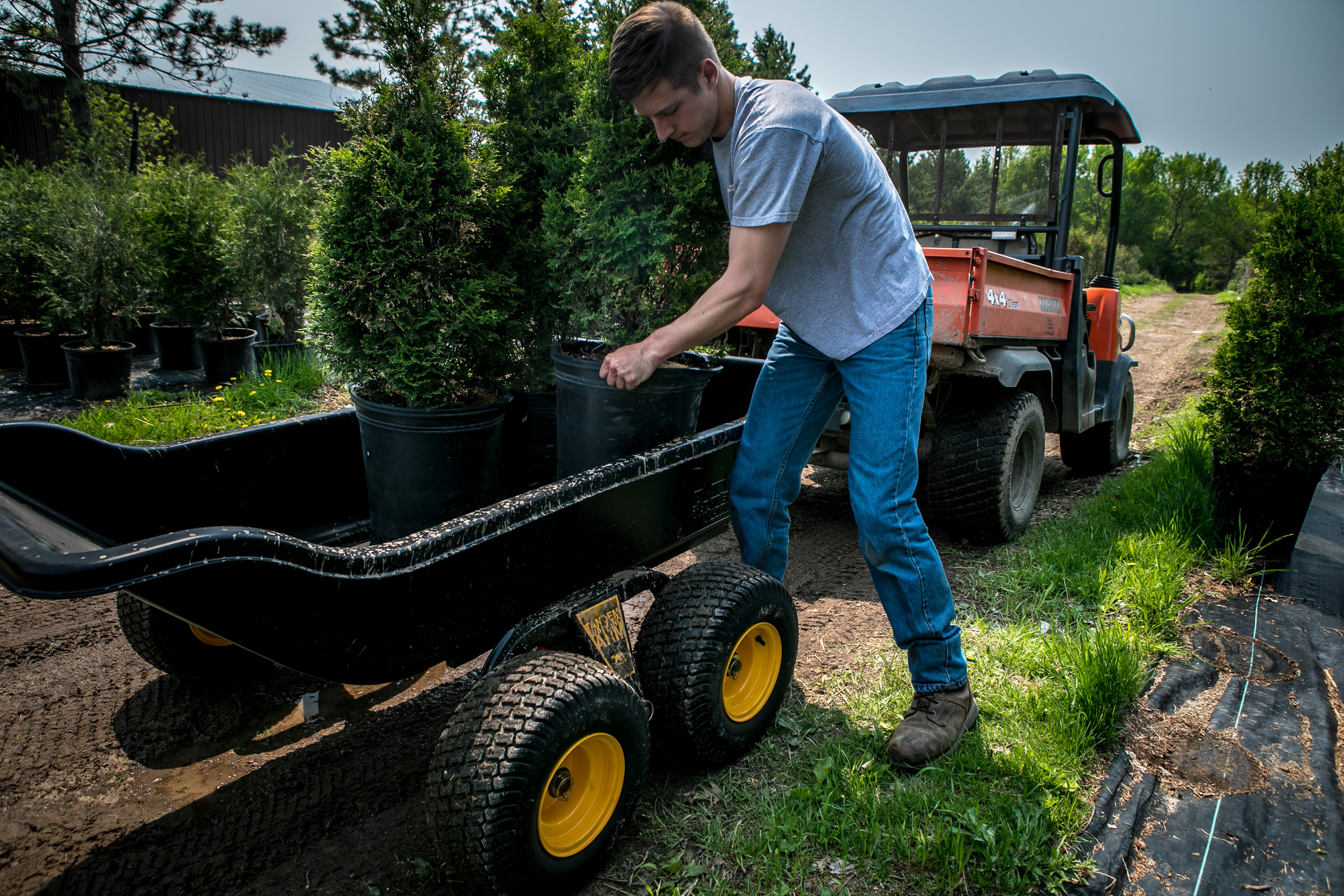 Tandem Trailer Anhänger TA1500 bei leitermann.de günstig kaufen Tandem Trailer Anhänger TA1500