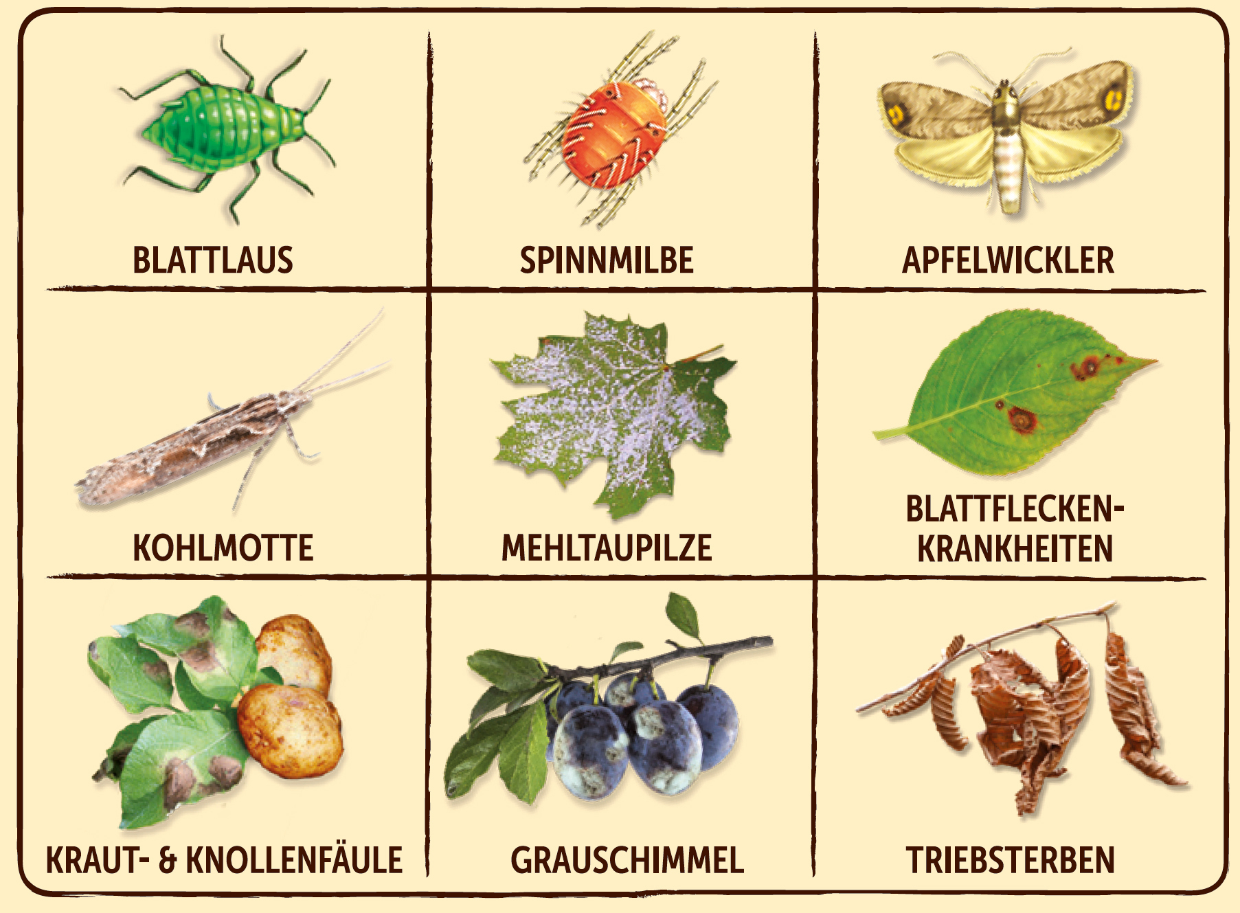 Grundstoff Urtica bei leitermann.de günstig kaufen Grundstoff Urtica
