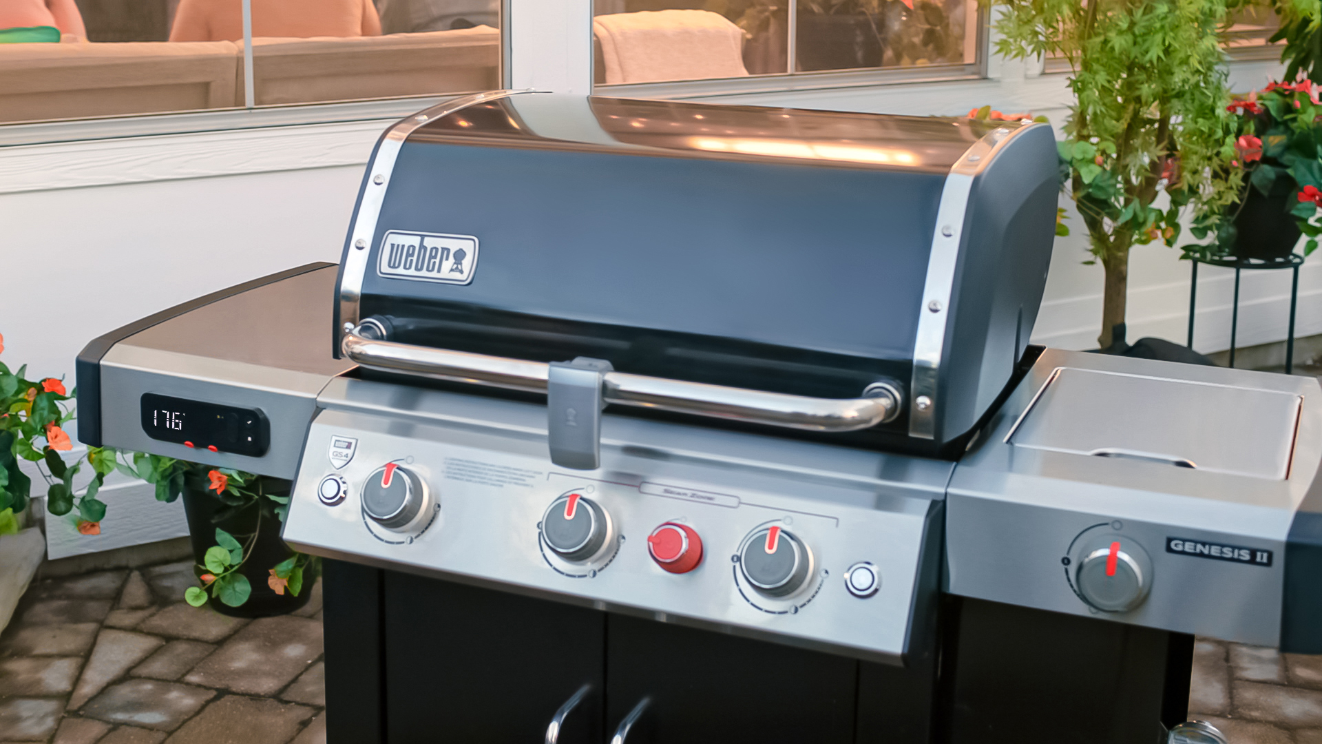 Genesis -R- Ii Ex-335 GBS