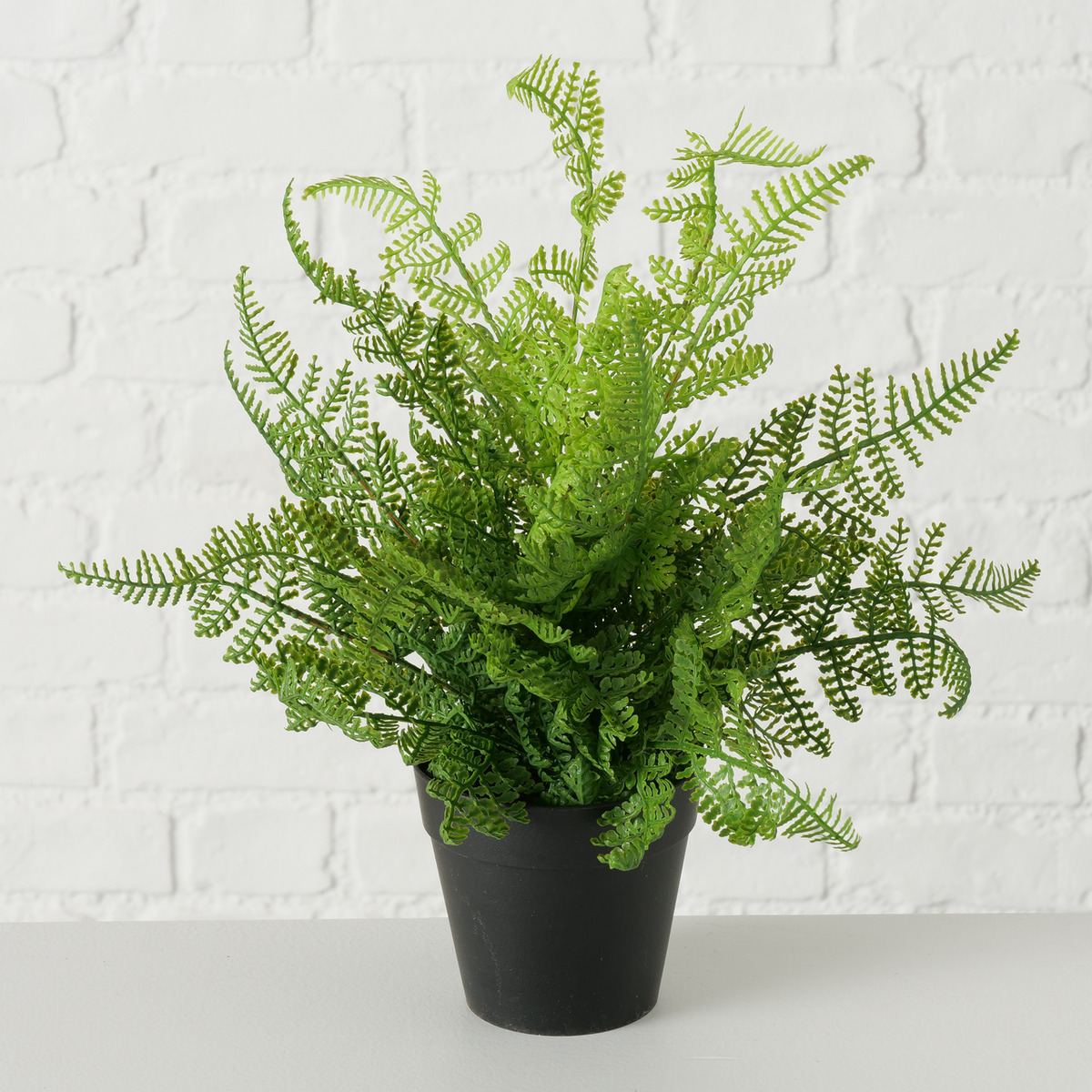 Topfpflanze 2-fach sortiert bei leitermann.de günstig kaufen Topfpflanze 2-fach sortiert